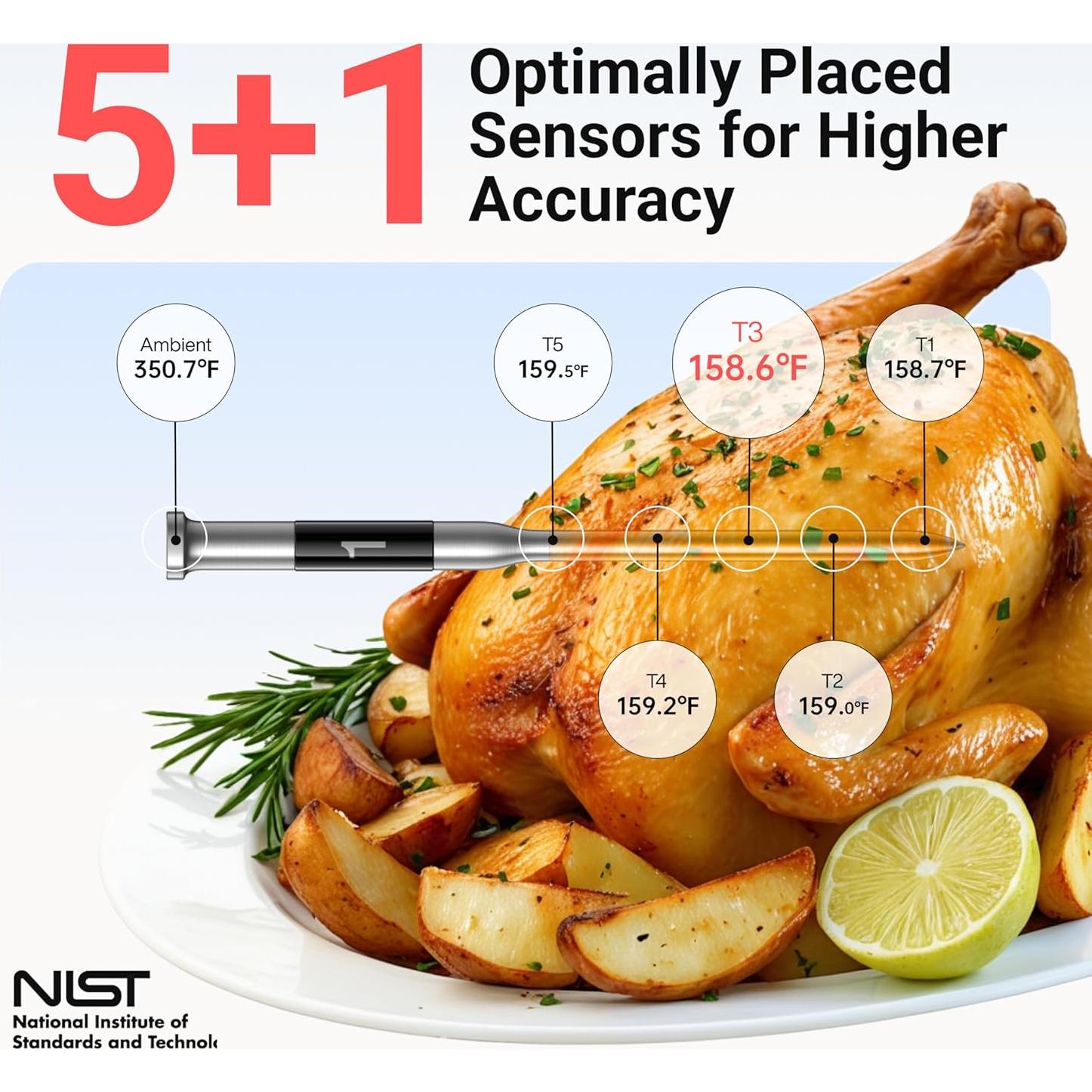 Termómetro de Carne Inalámbrico ThermoMaven WT11 con WiFi y Bluetooth