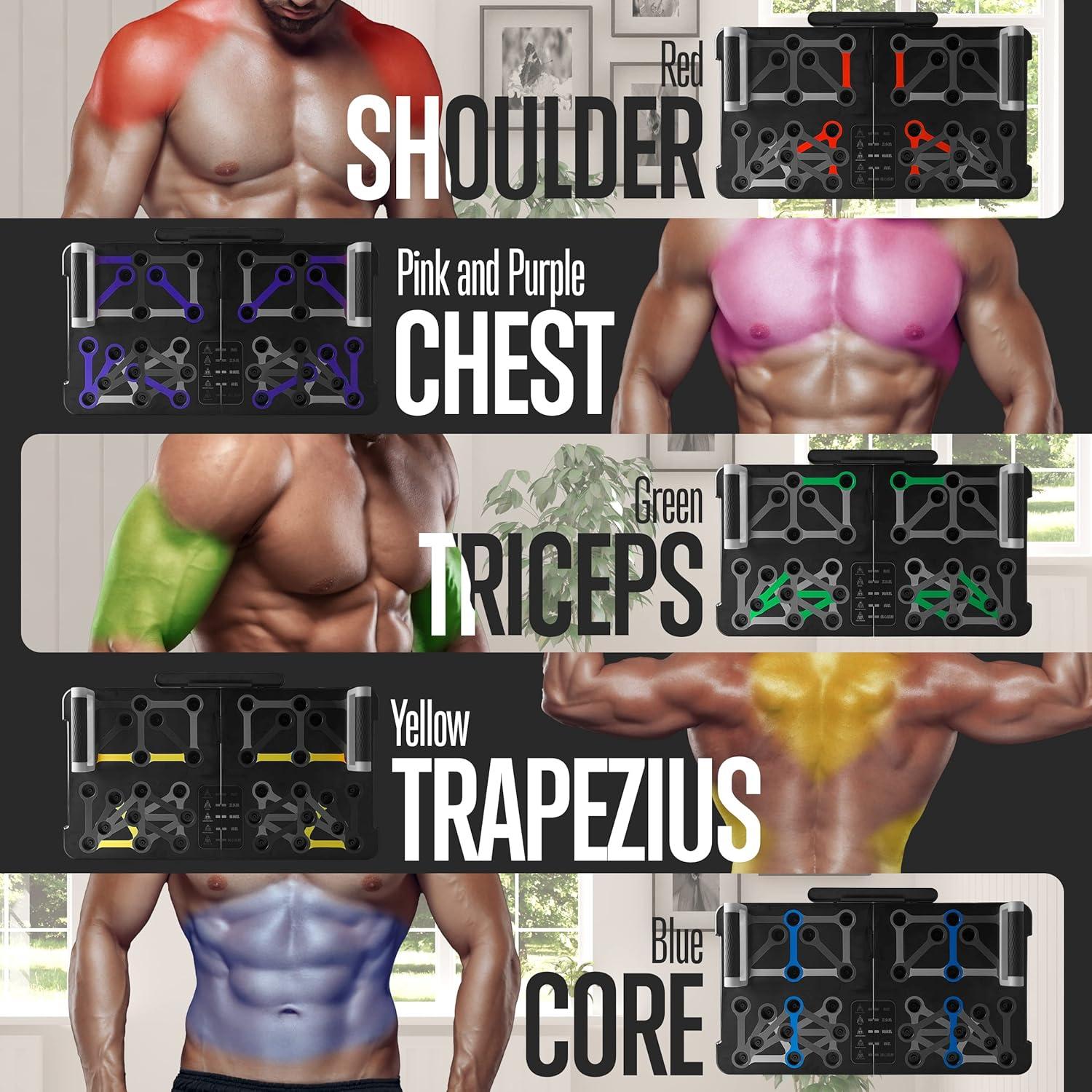 Tabla de Flexiones Portátil SQUATZ con Bandas de Resistencia