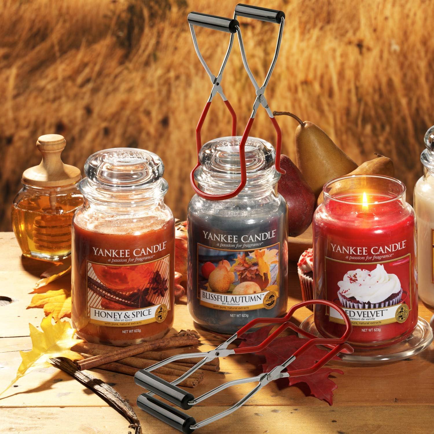 Levantador de Tarros de Conservas EEOYU Acero Inoxidable Rojo