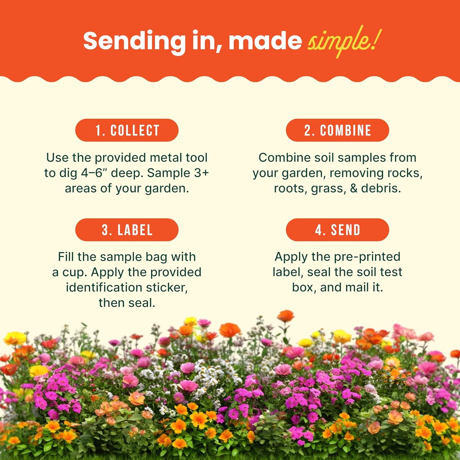 Kit de Prueba de Suelo para Jardín Sunday - Análisis de Nutrientes