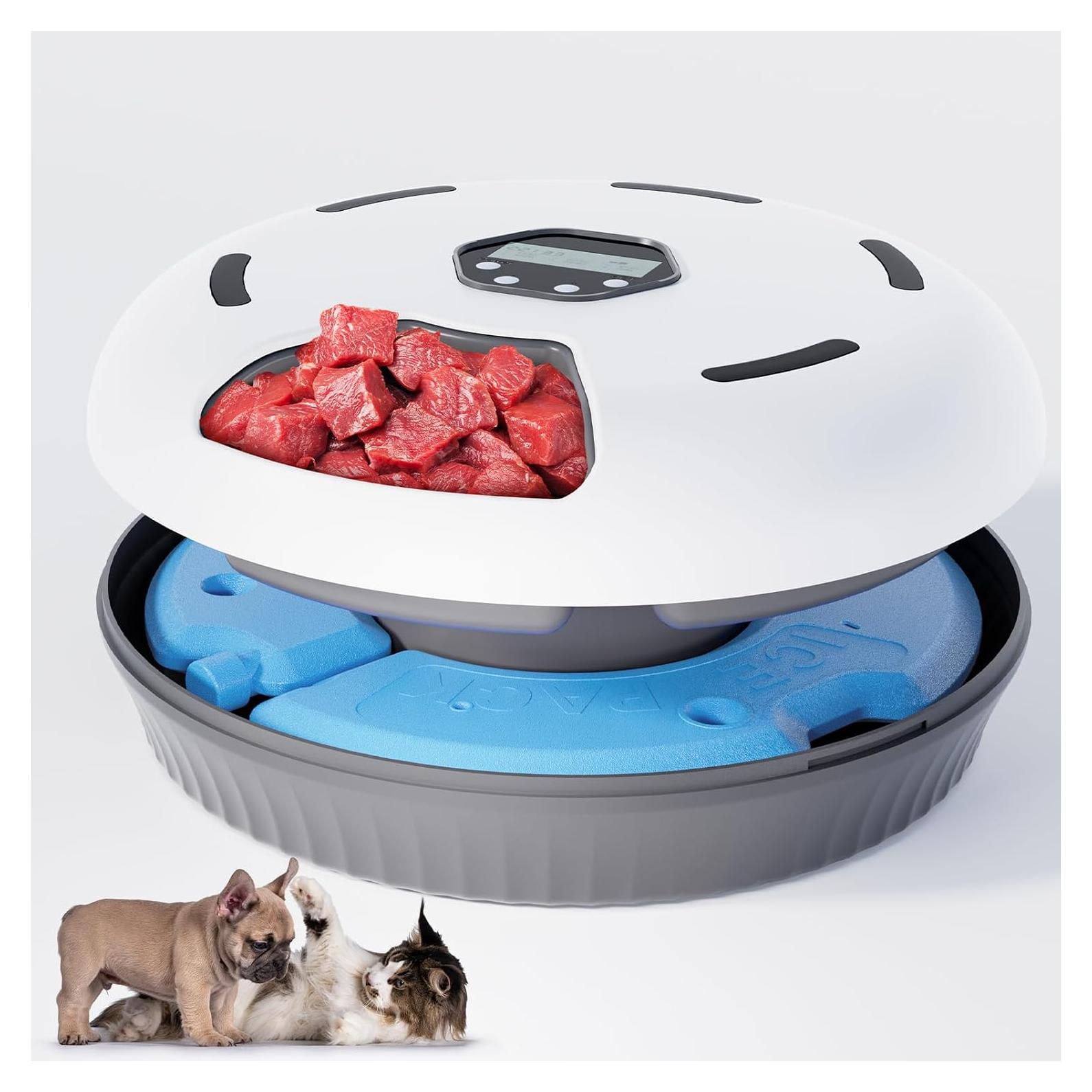 Comedero Automático GUODUN para Gatos y Perros 6 Comidas