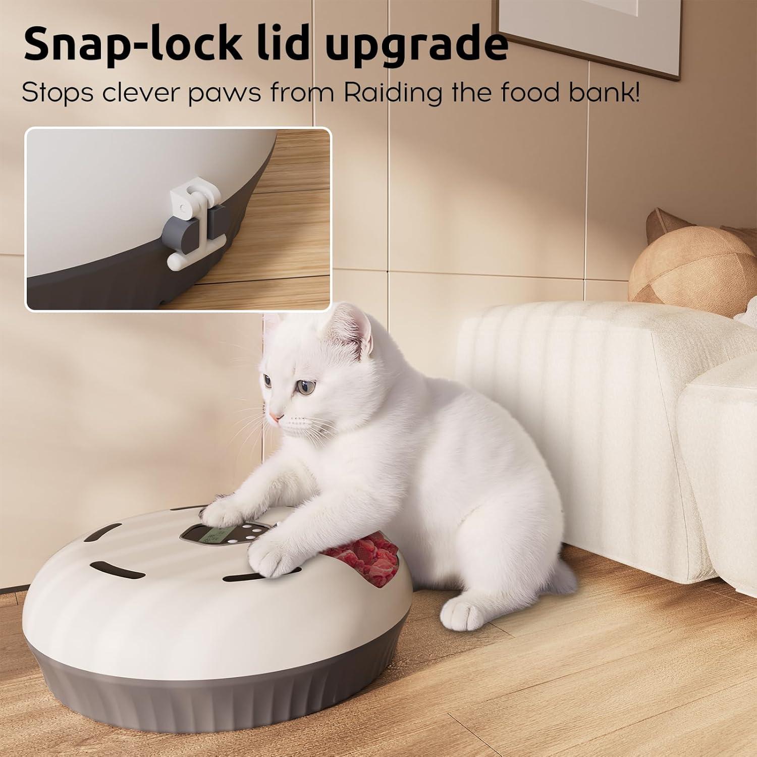 Comedero Automático GUODUN para Gatos y Perros 6 Comidas