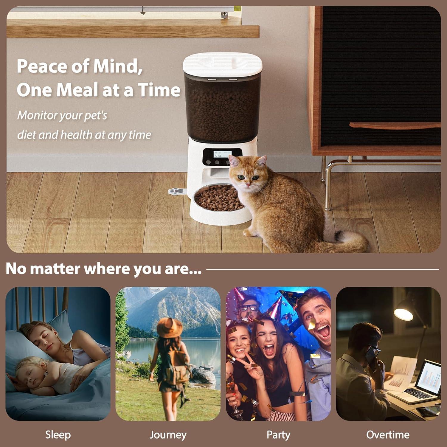 Dispensador Automático de Comida 4L Petrice para Gatos y Perros