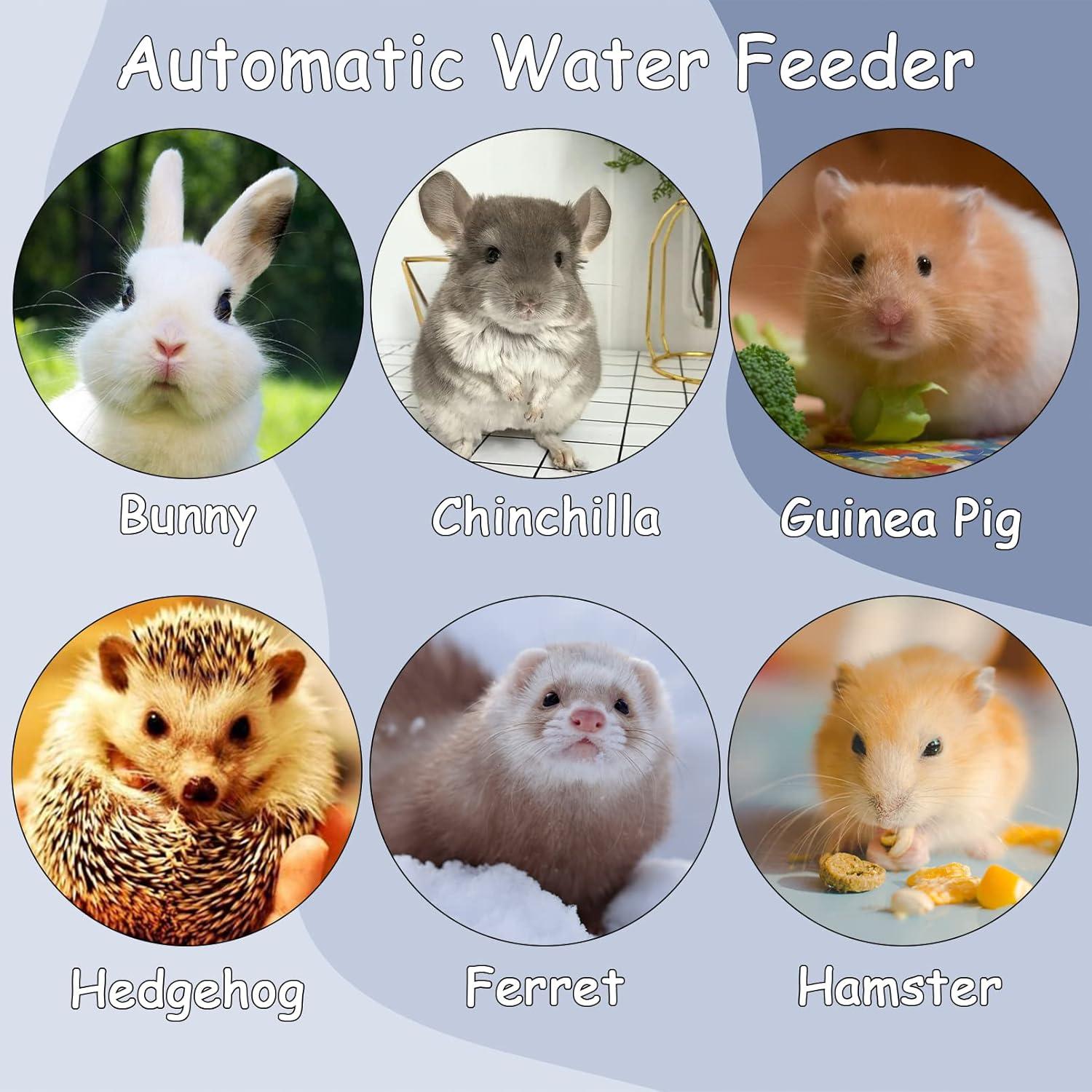 Dispensador Automático de Agua Tfwadmx 500ml para Conejos 2PCS