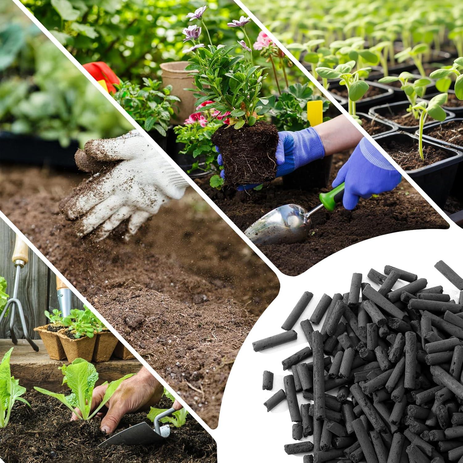 Recargas de Filtro de Carbón Activado Raneped para Compostador Lomi - Paquete de 4