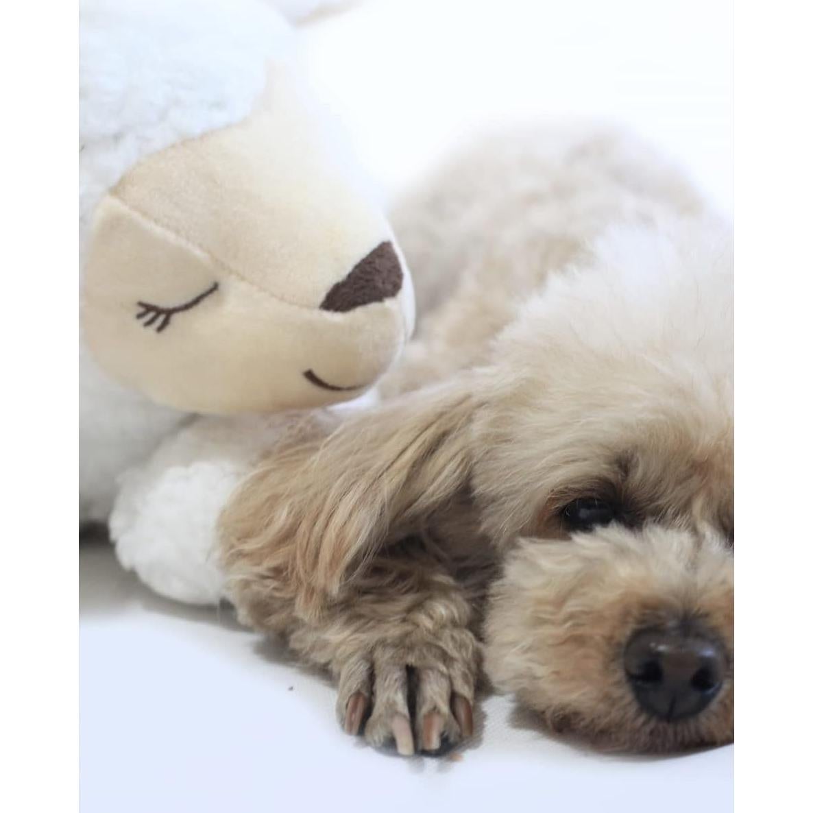 Juguete de Peluche con Latido HonourHope para Cachorros