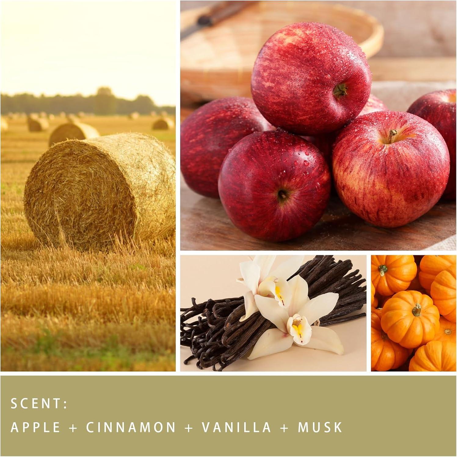 Vela Aromática de Otoño Auelife 198 g Cera de Soja Natural