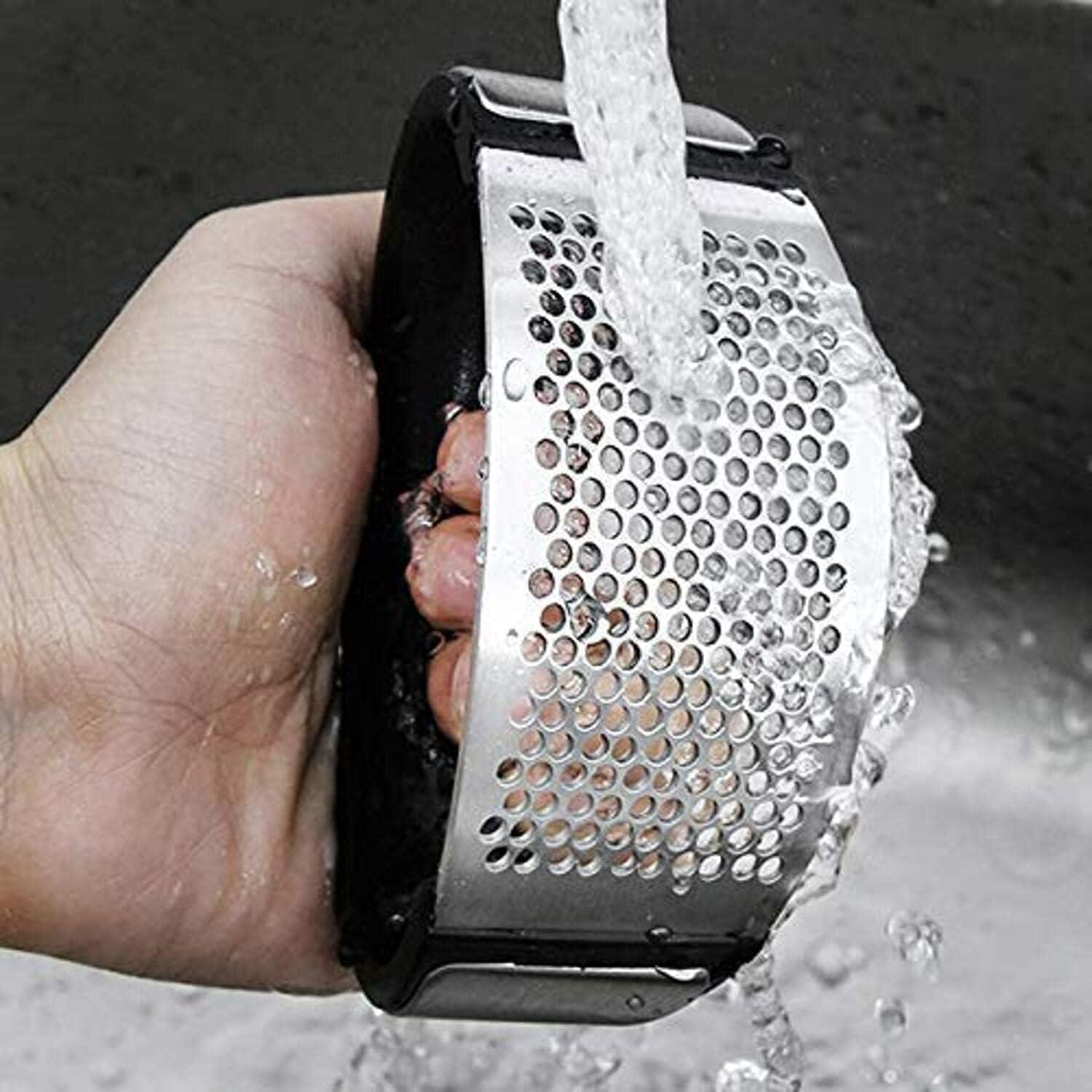 Prensa de Ajo Curvada Livvogue Acero Inoxidable 20.32x10.16cm