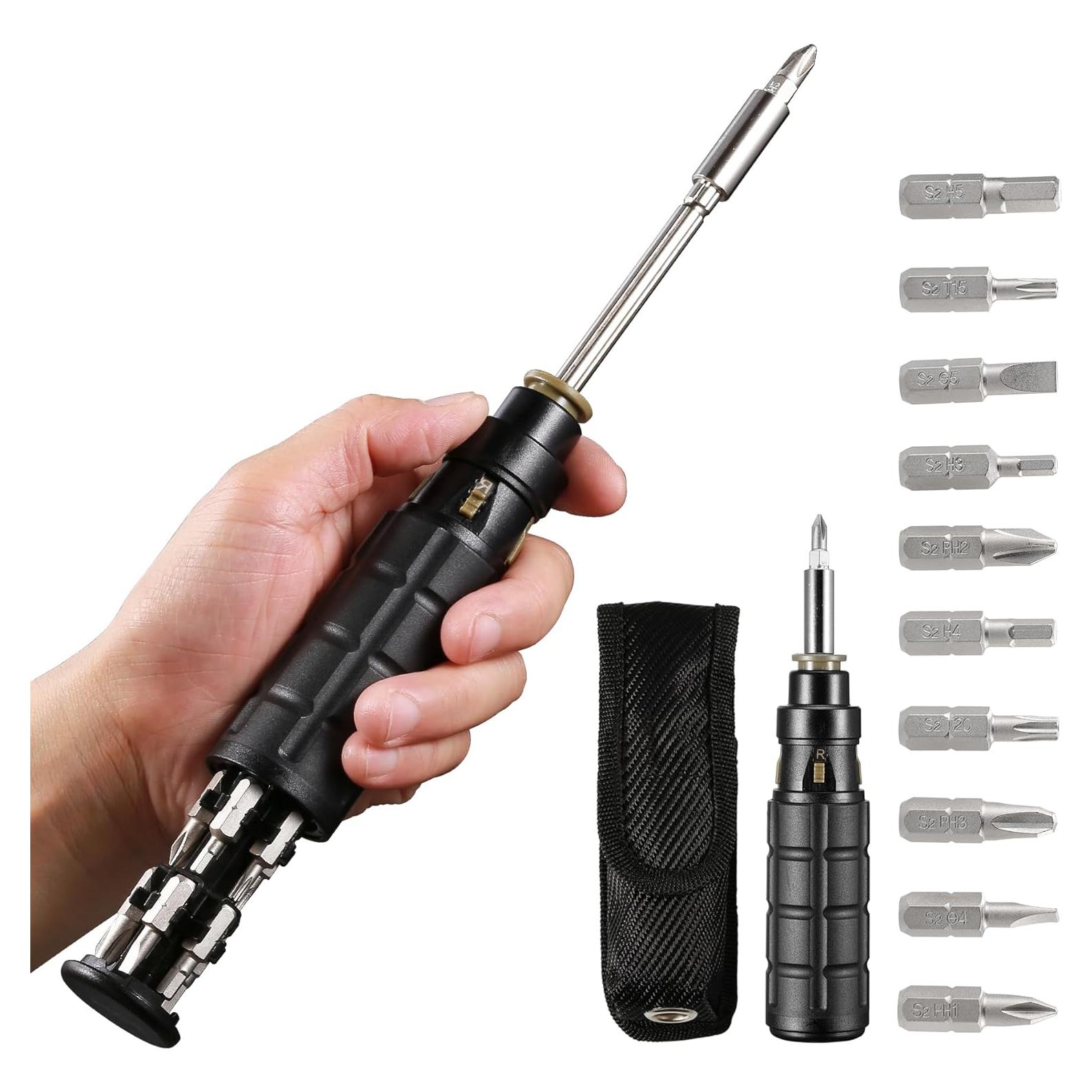 Juego de Destornillador de Carraca Flutaire 10 en 1 con Puntas