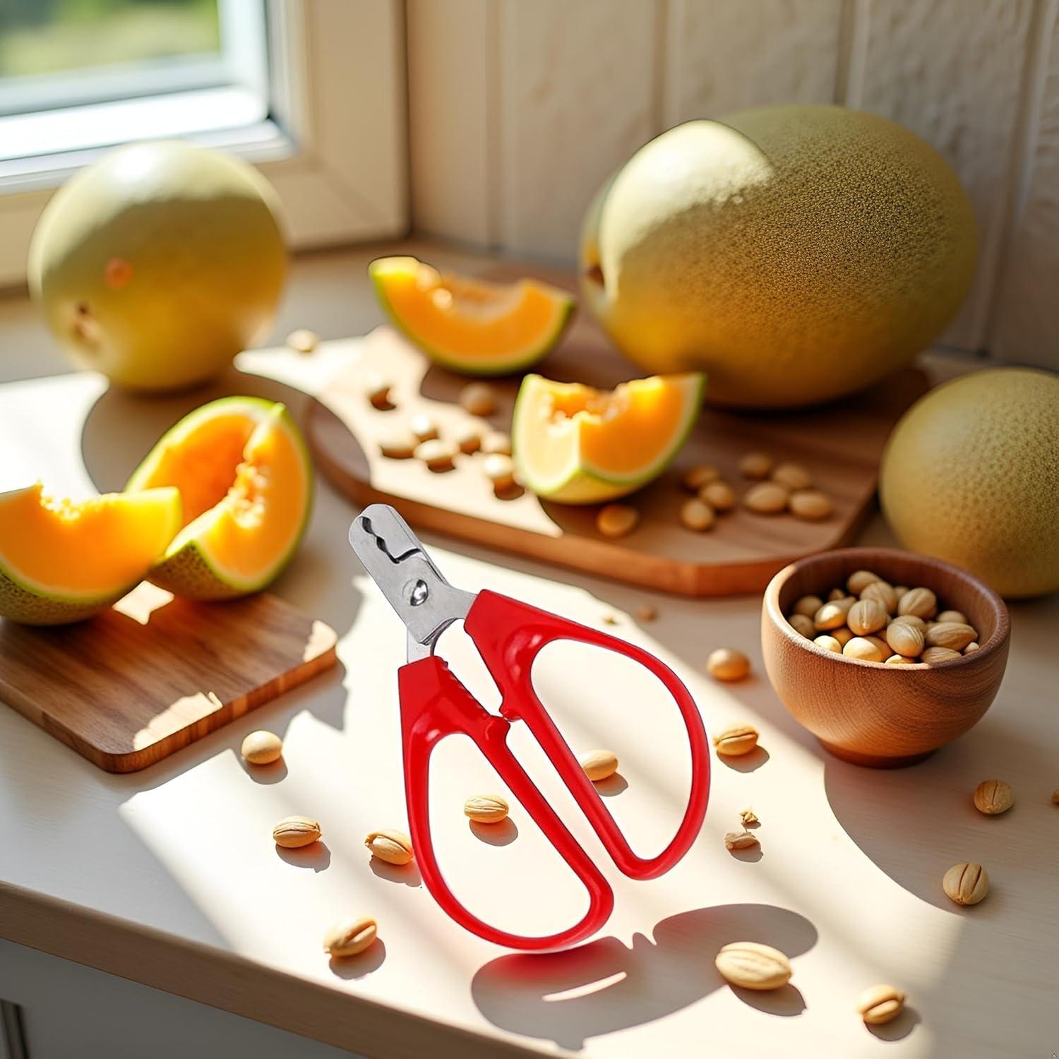 Alicate para romper semillas de melón rojo Xinjincang - Ergonomía y durabilidad