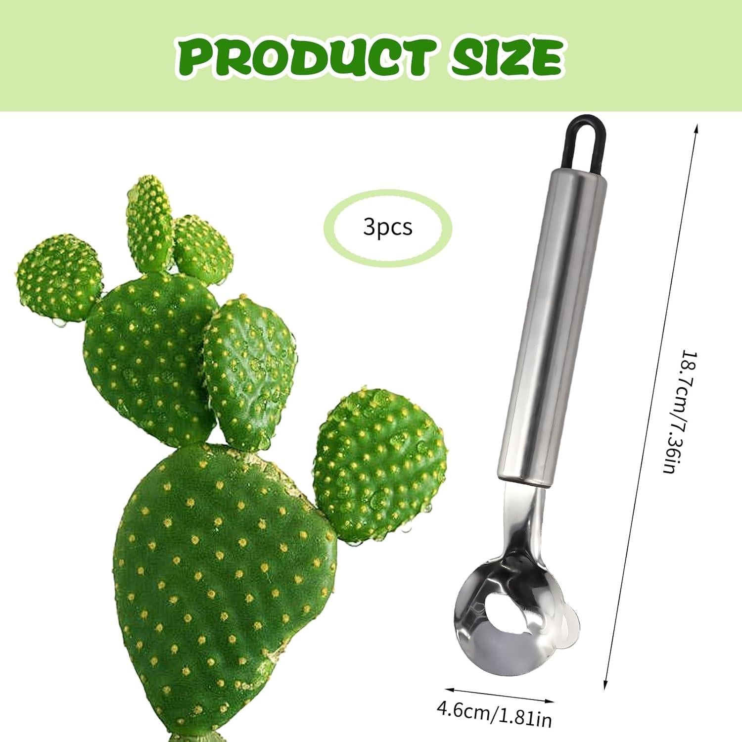 Herramienta Peladora de Cactus PKRFCJ 3 Piezas Acero Inoxidable