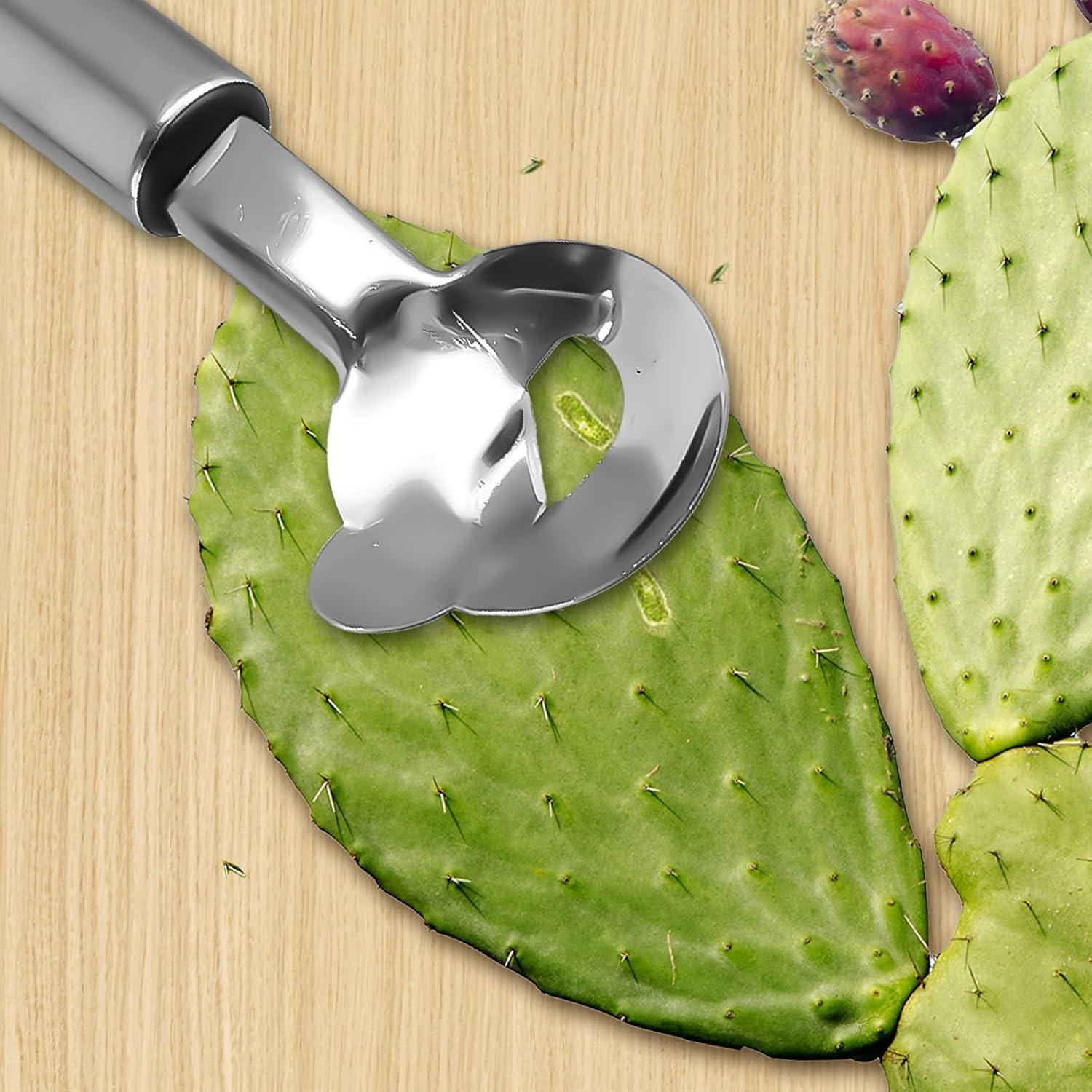 Herramienta Peladora de Cactus PKRFCJ 3 Piezas Acero Inoxidable