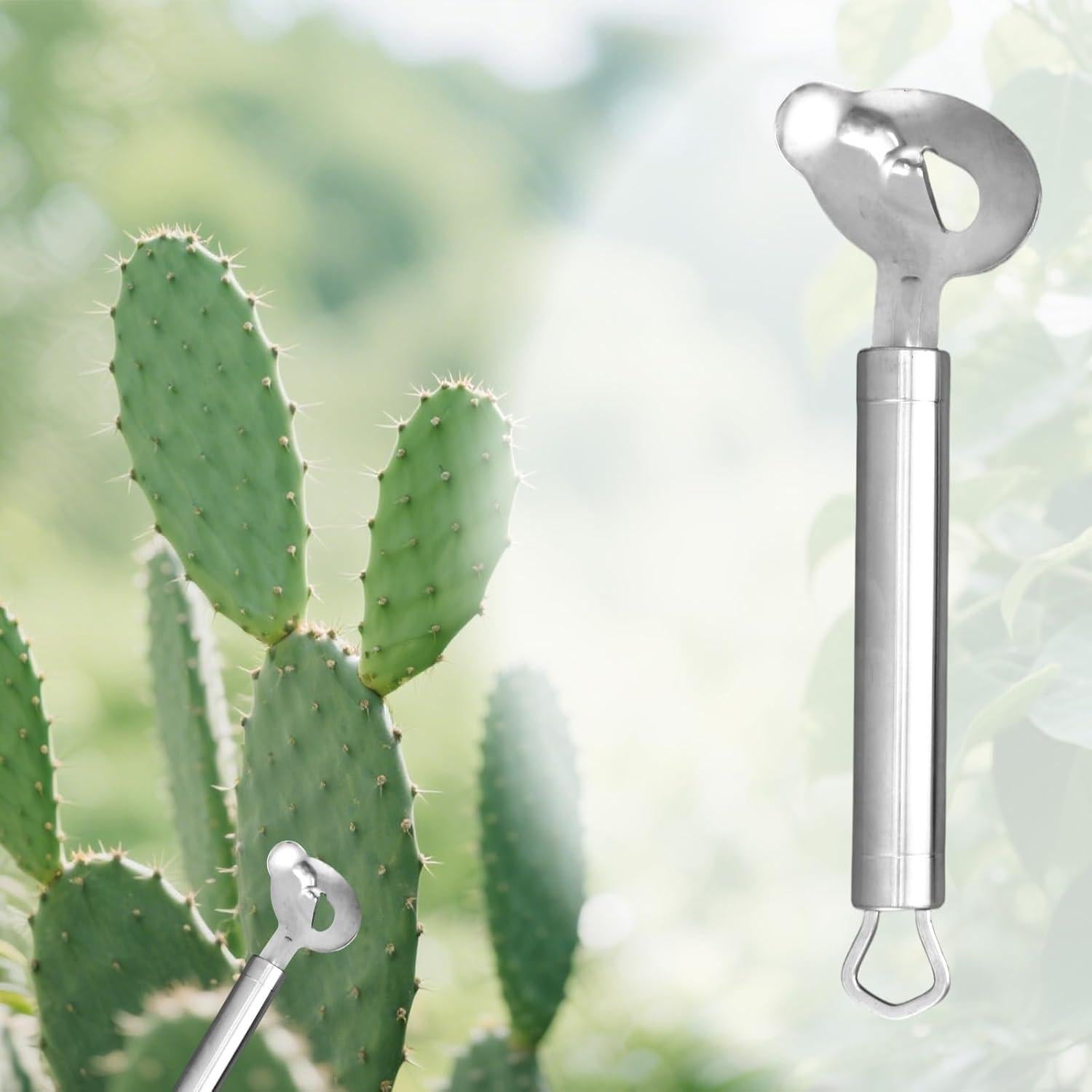 Cuchara Peladora de Cactus 2 Piezas Lasuroa Acero Inoxidable