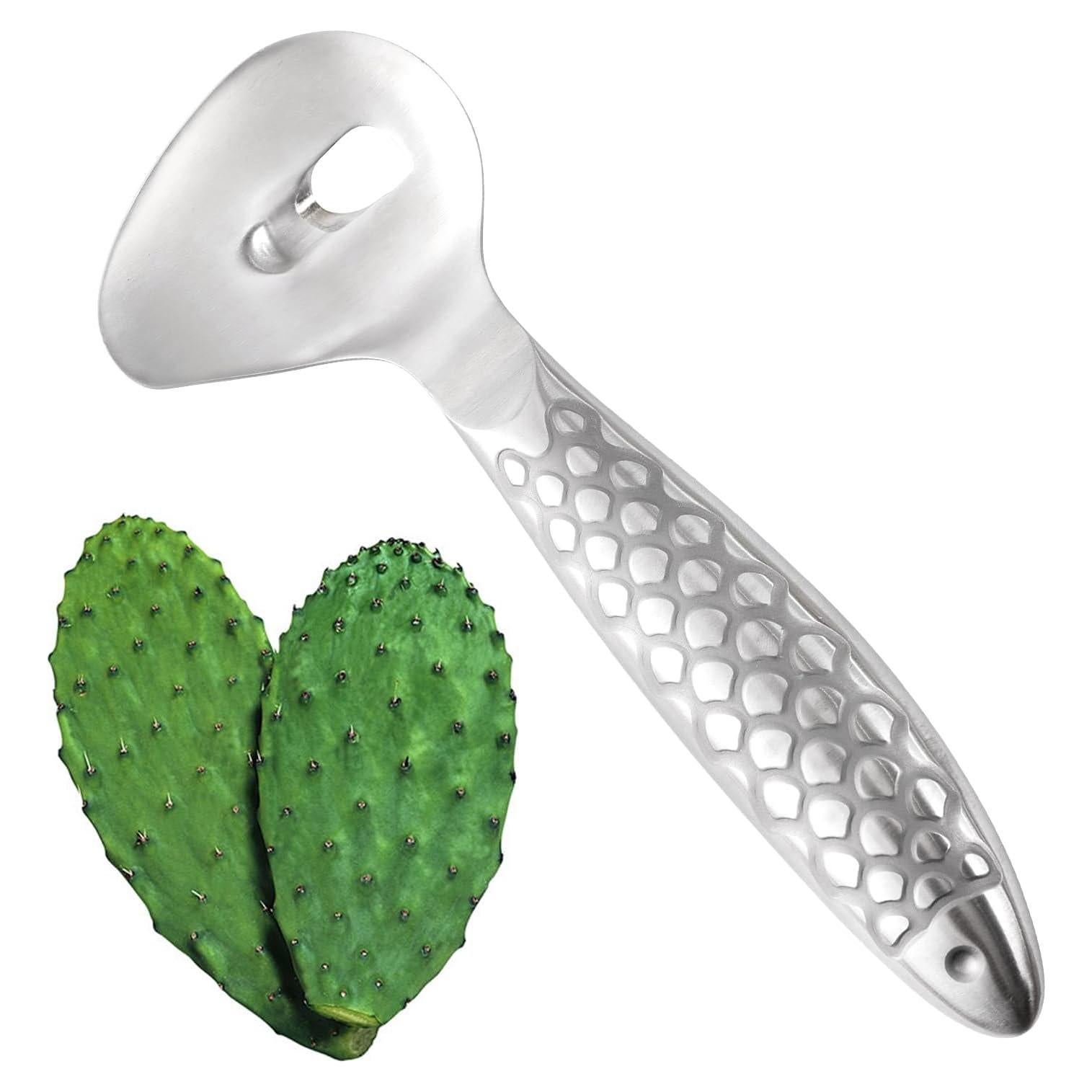 Cuchara Peladora de Cactus NECOOKS Acero Inoxidable 18.5x6.8 cm
