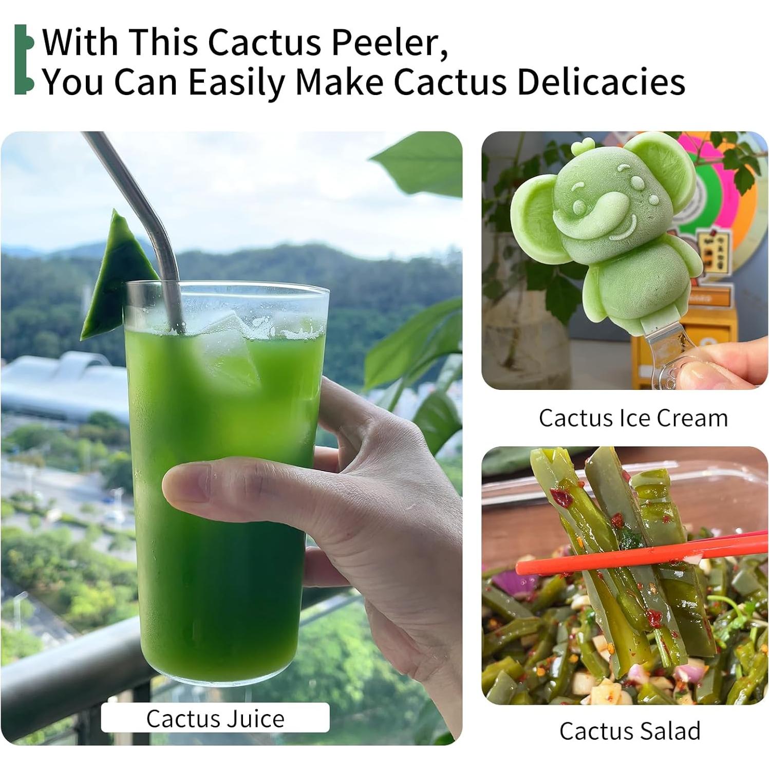 Cuchara Peladora de Cactus NECOOKS Acero Inoxidable 18.5x6.8 cm