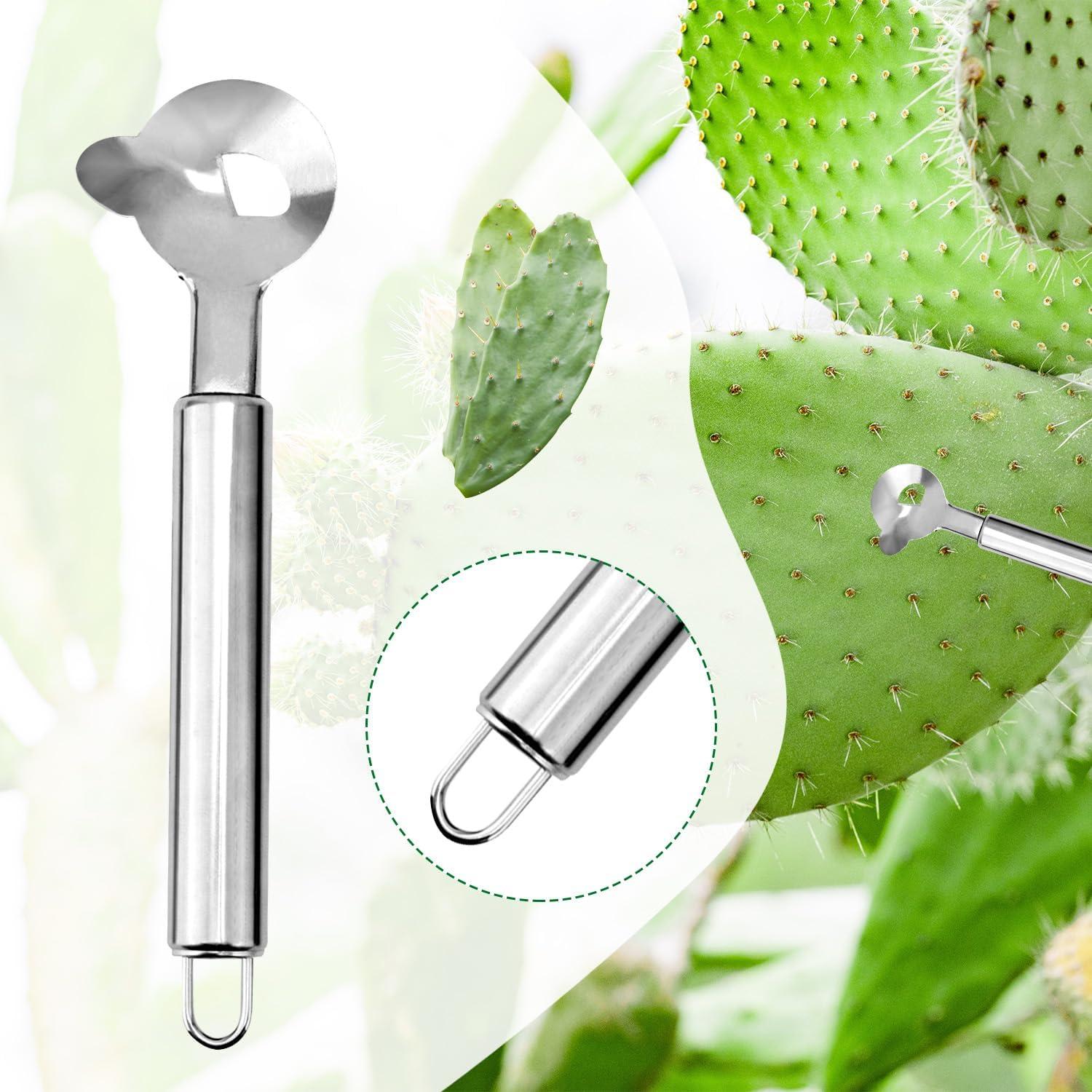 2 Peladores de Cuchara de Acero Inoxidable Lasuroa 18cm