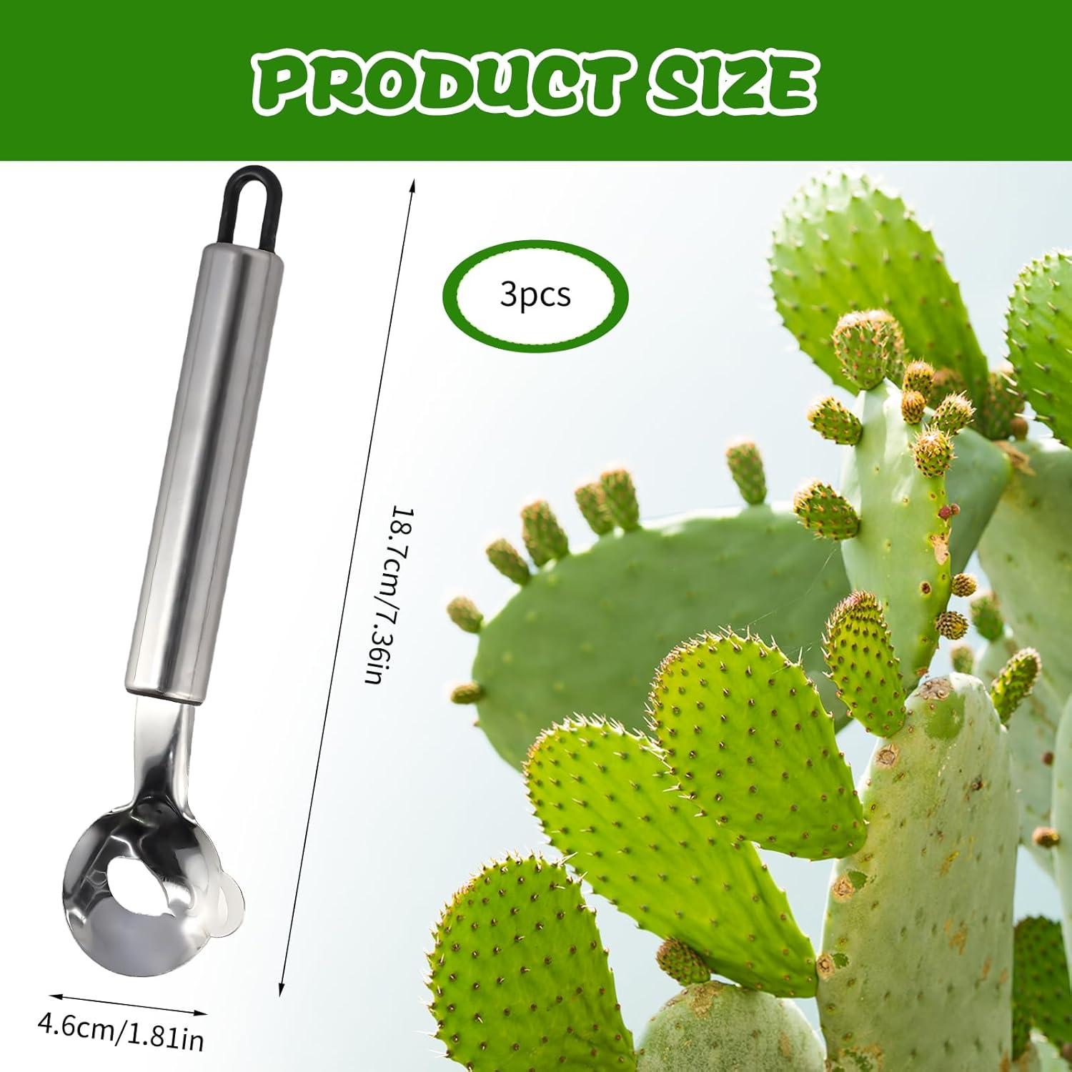 3 Piezas Pelador de Cactus Panthra Acero Inoxidable 19cm