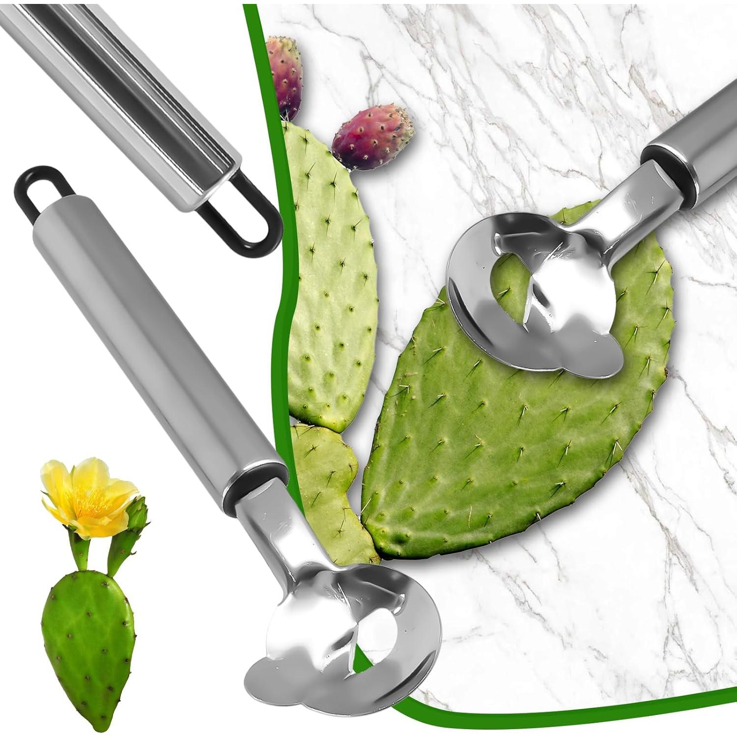 3 Piezas Pelador de Cactus Panthra Acero Inoxidable 19cm