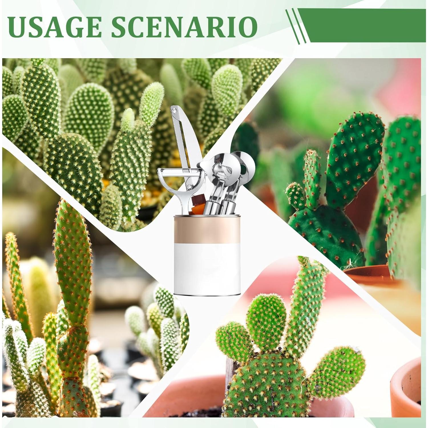 Juego de Herramientas para Pelar Cactus Lothee - 4 Piezas