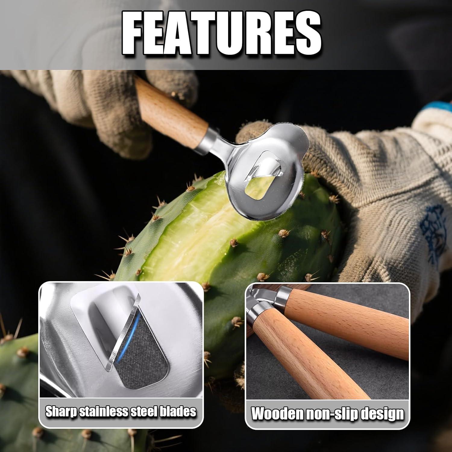 Juego de Herramientas para Pelar Cactus TOAINRSI - Acero Inoxidable