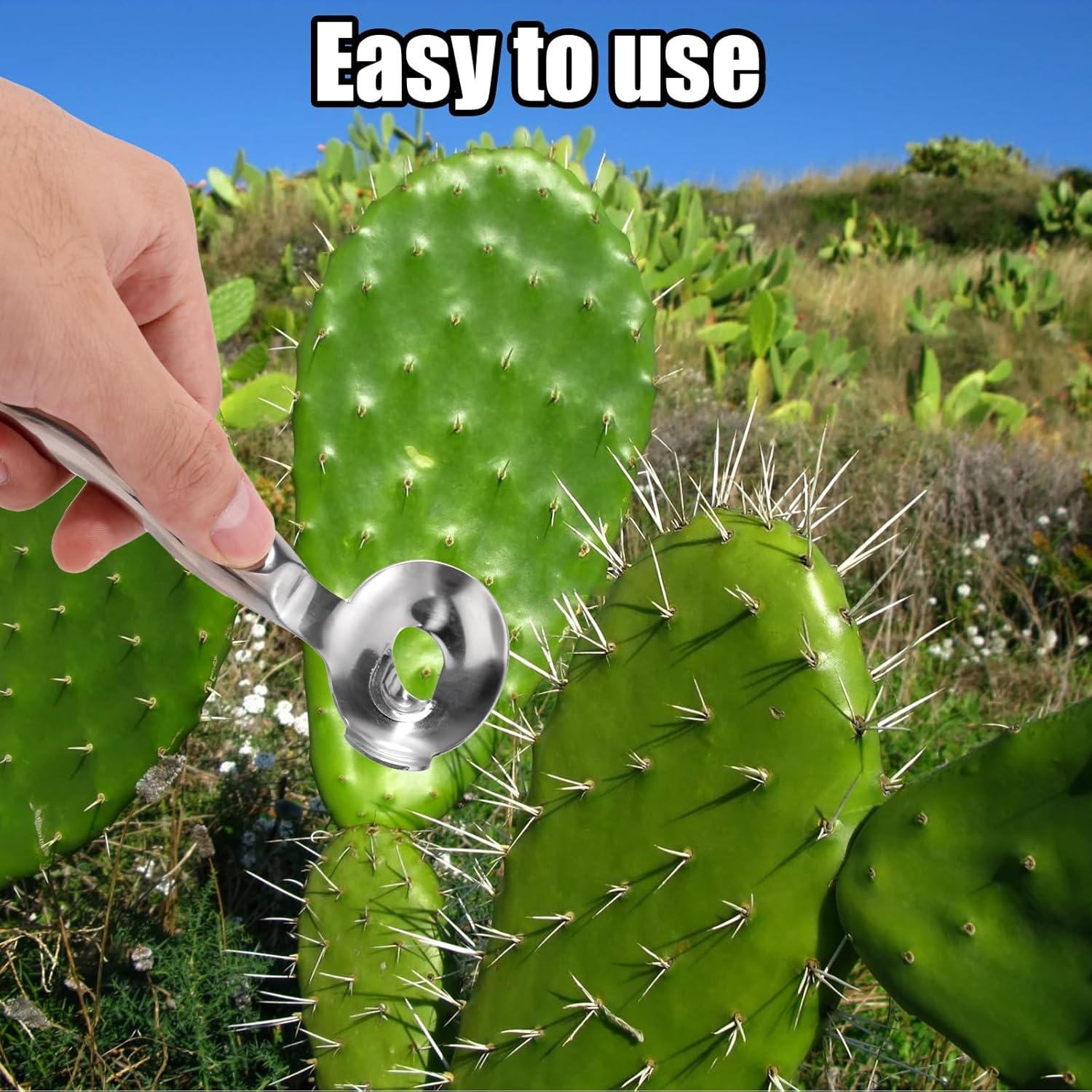 Cuchara Peladora de Cactus Lyreh de Acero Inoxidable 16.7cm