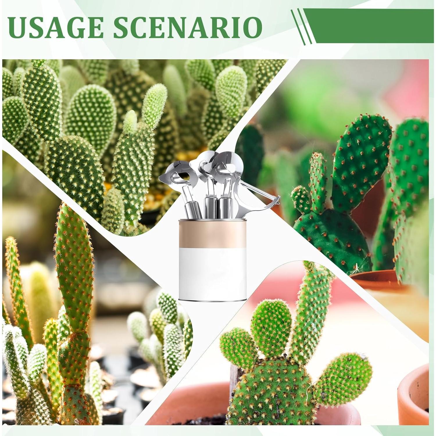 Juego de Peladores de Cactus Lothee - 4 Piezas Acero Inoxidable