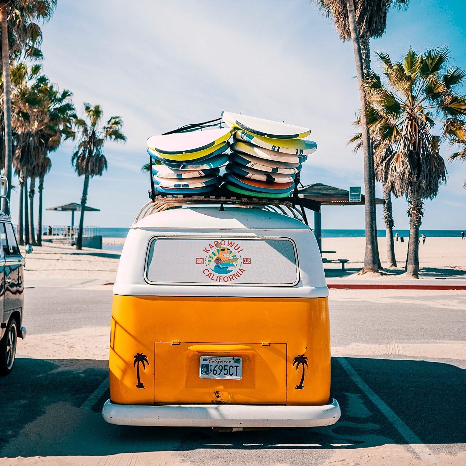 Correas de Amarre MOOCY 2 Unidades 2.54cm x 3.66m Ajustables