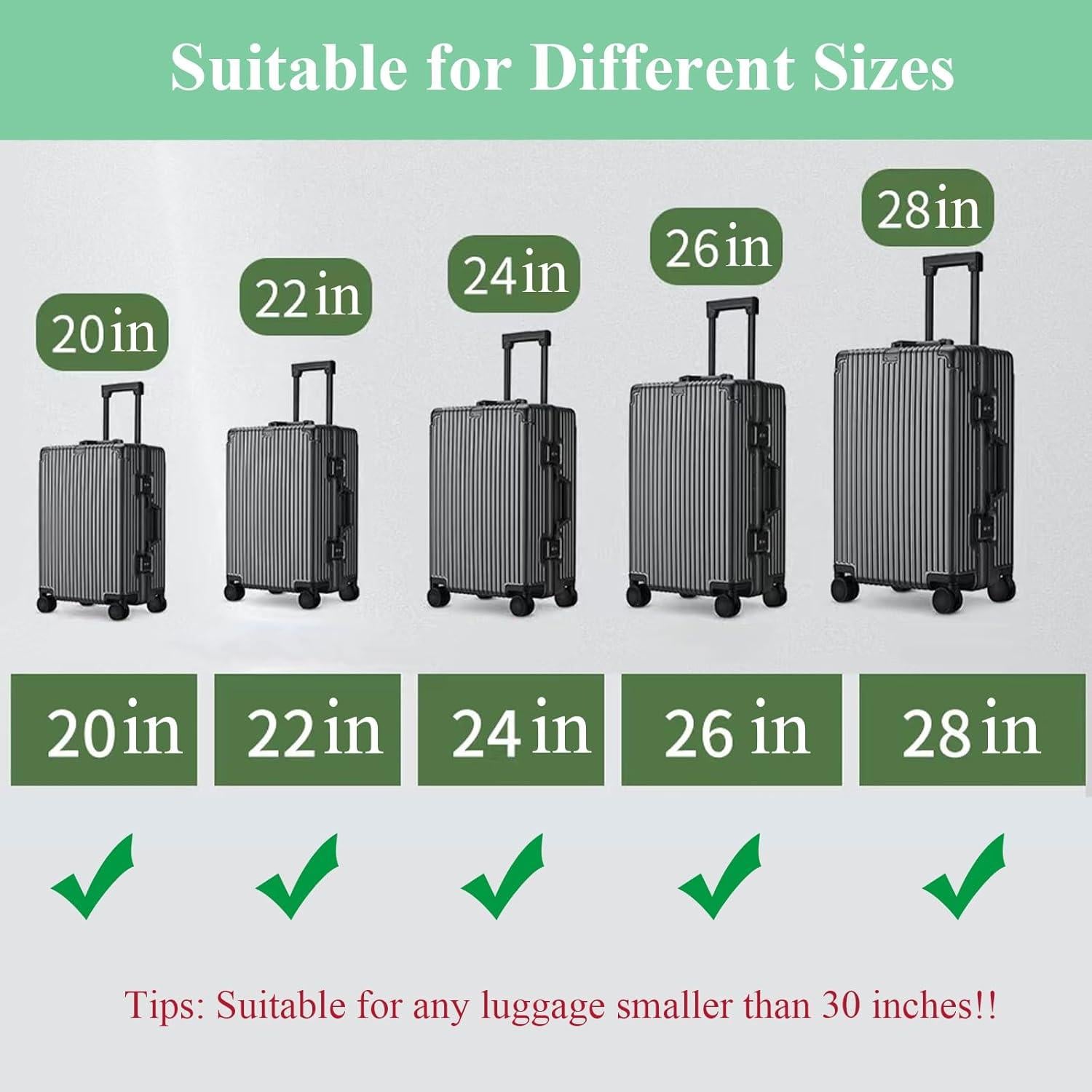 Juego de 4 correas de equipaje CHIVOLONA + 2 etiquetas azul