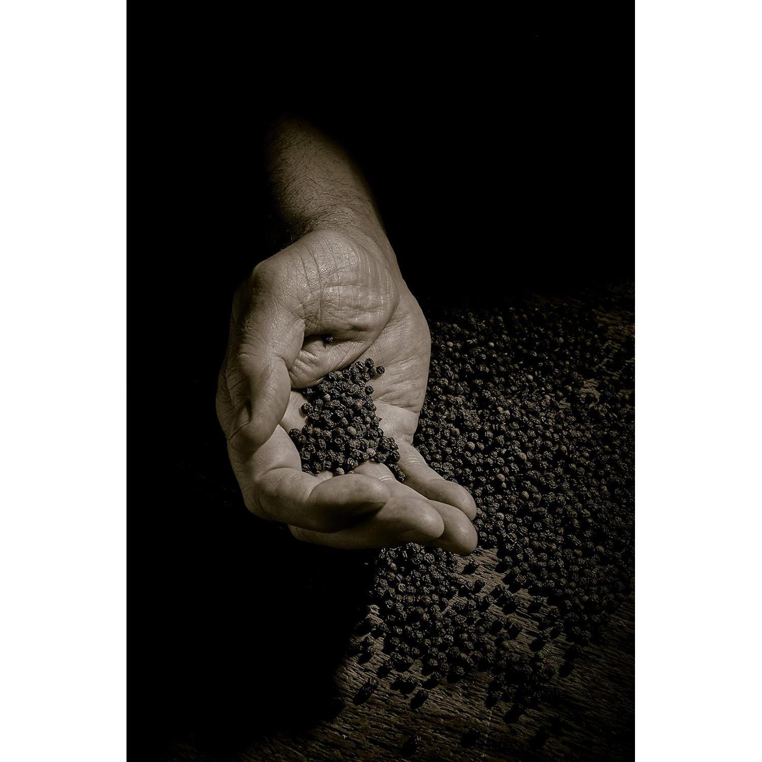 Molinillo de Pimienta Manual Peugeot Paris Chocolate 17.8cm