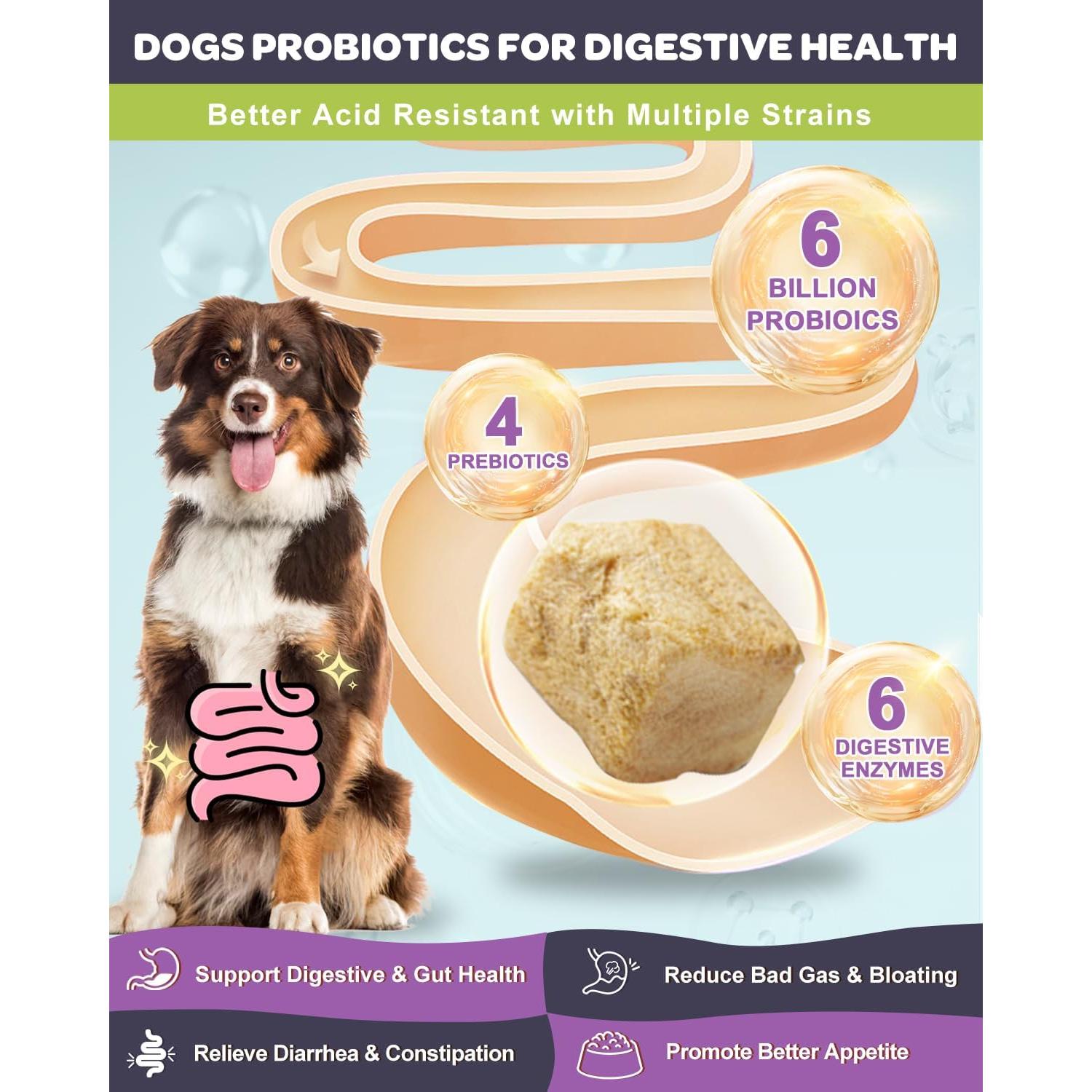 Probioticos Liofilizados para Perros Nature Target 120 Unidades