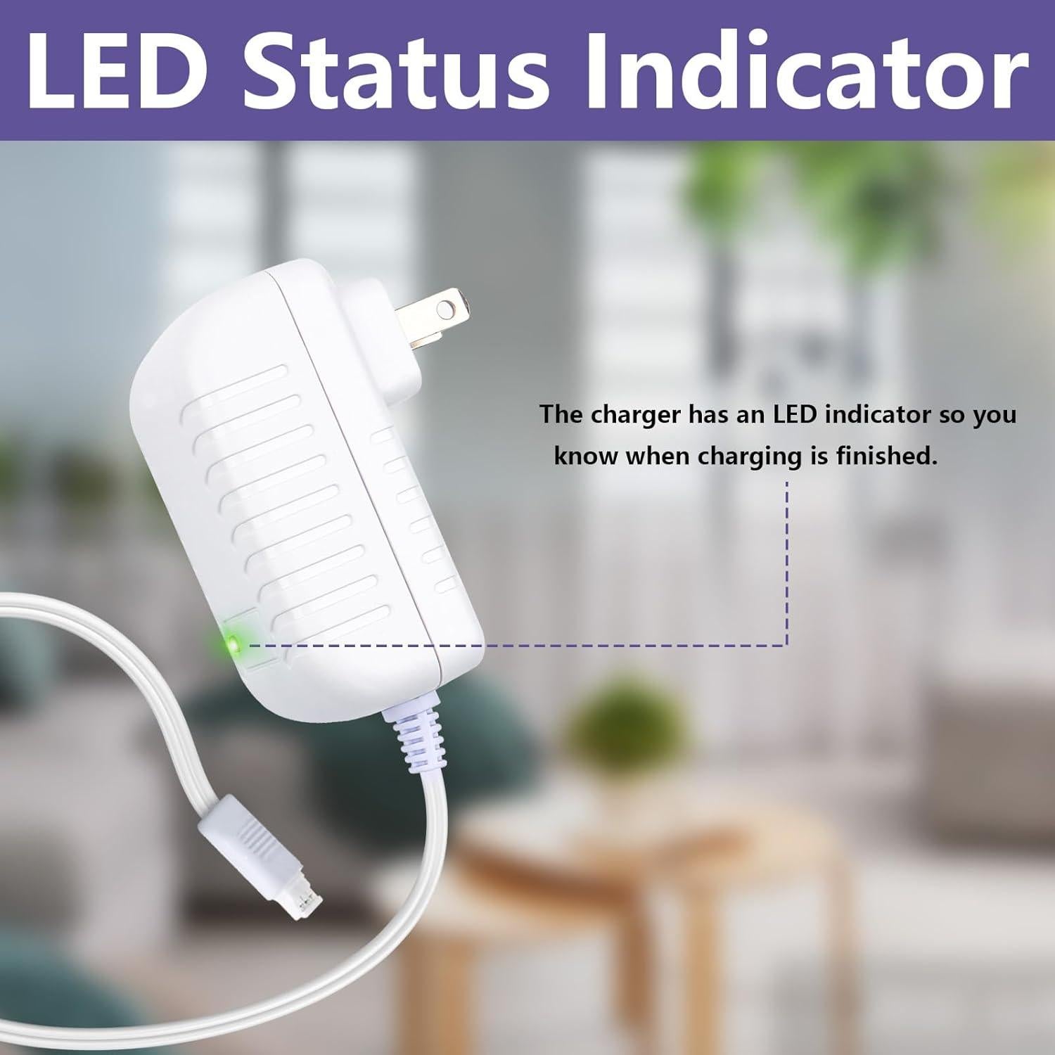 Cargador de Batería de Litio 12V para Persianas Somfy