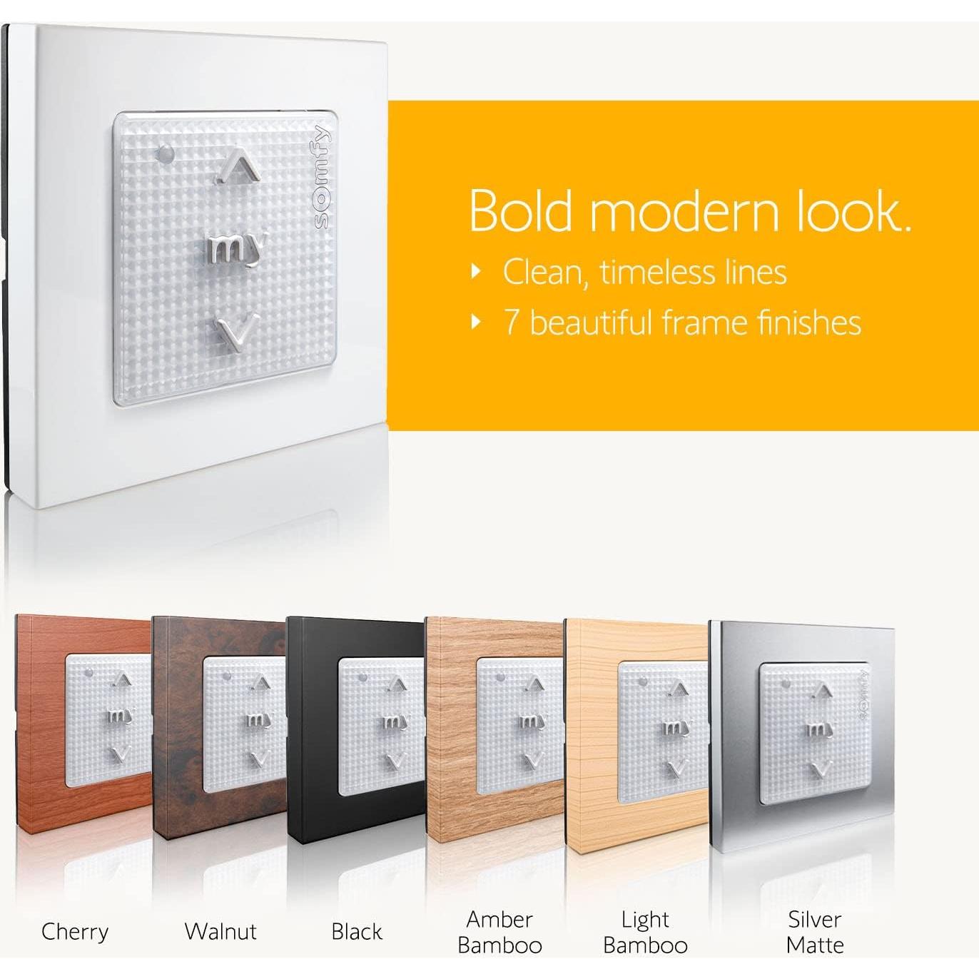 Interruptor de Pared Somfy Smoove 1 RTS para Cortinas