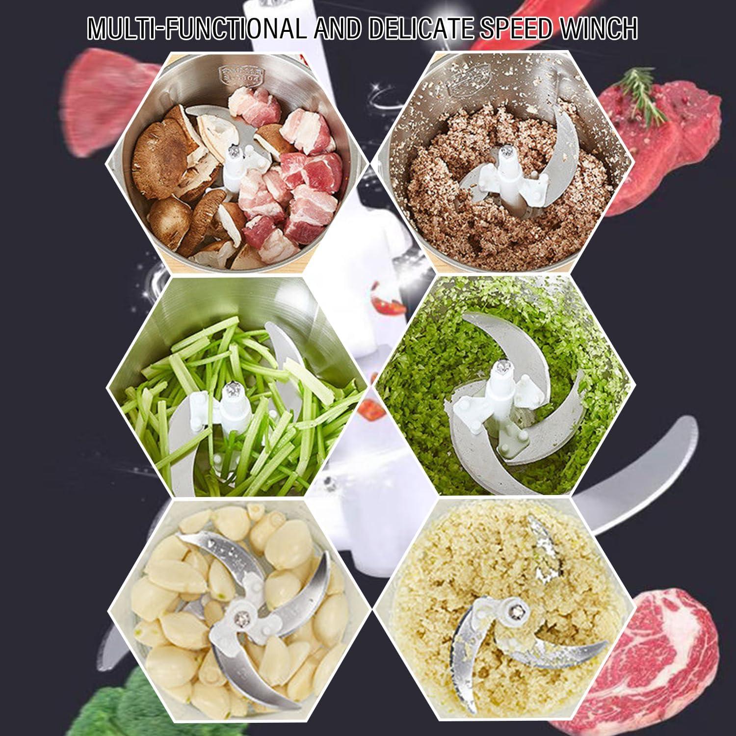 Procesador de Alimentos Payanwin OO5 2L Picadora y Molinillo