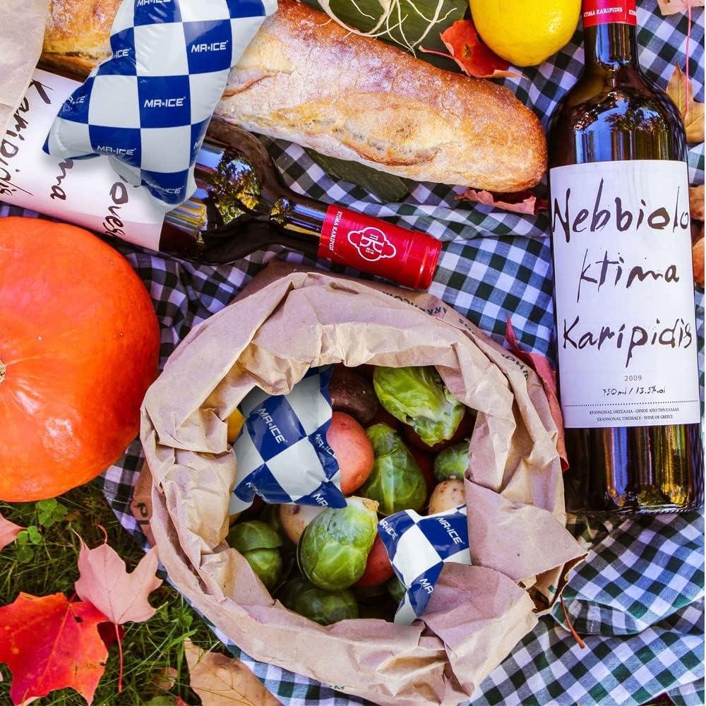 Paquetes de Hielo Seco Reutilizables MR.ICE 100pcs 11.9x8.4cm