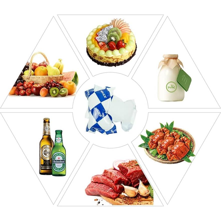 Paquetes de Hielo Seco Reutilizables MR.ICE 100pcs 11.9x8.4cm