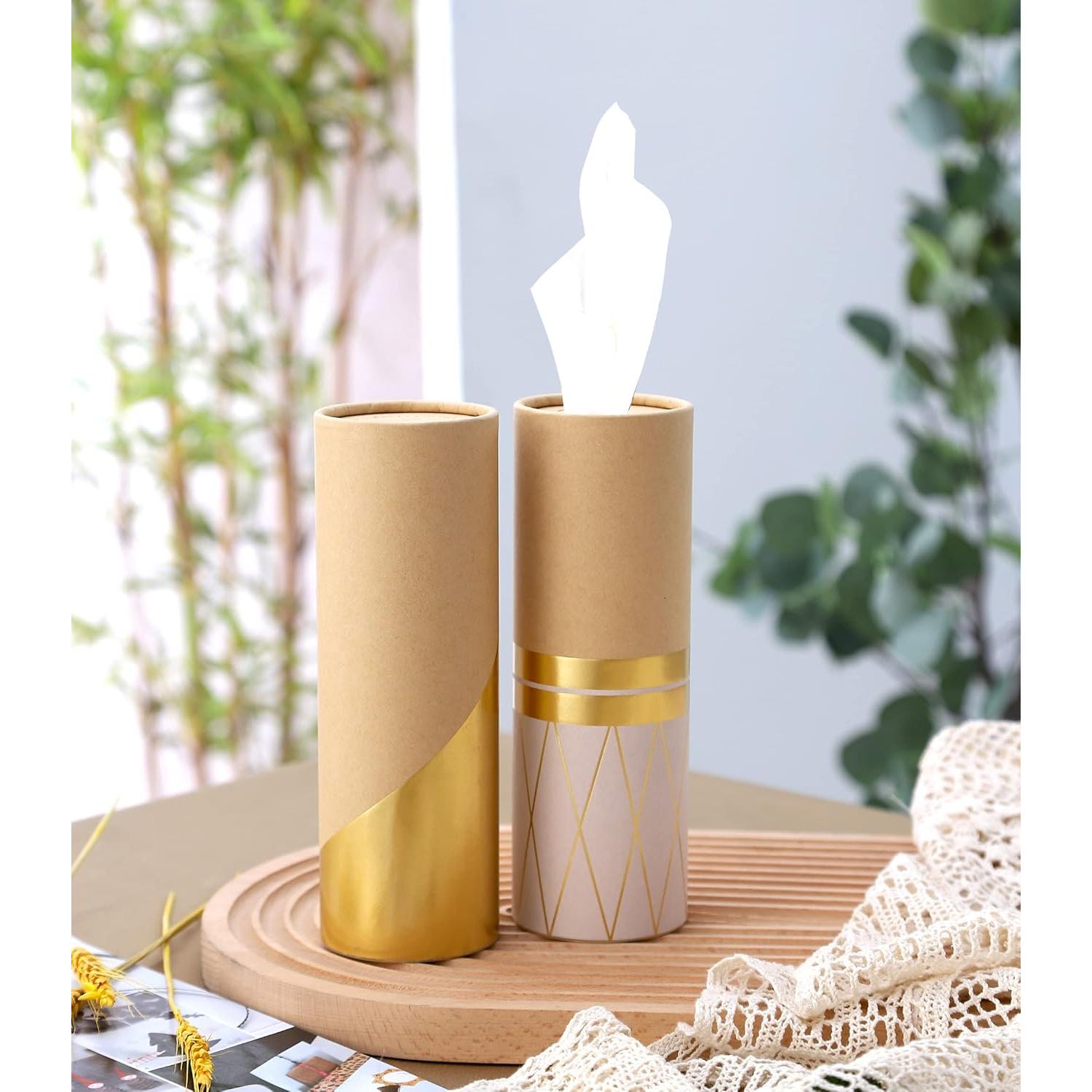 Soporte de Vaso para Auto Winoo con Pañuelos 4 PK Cilindro