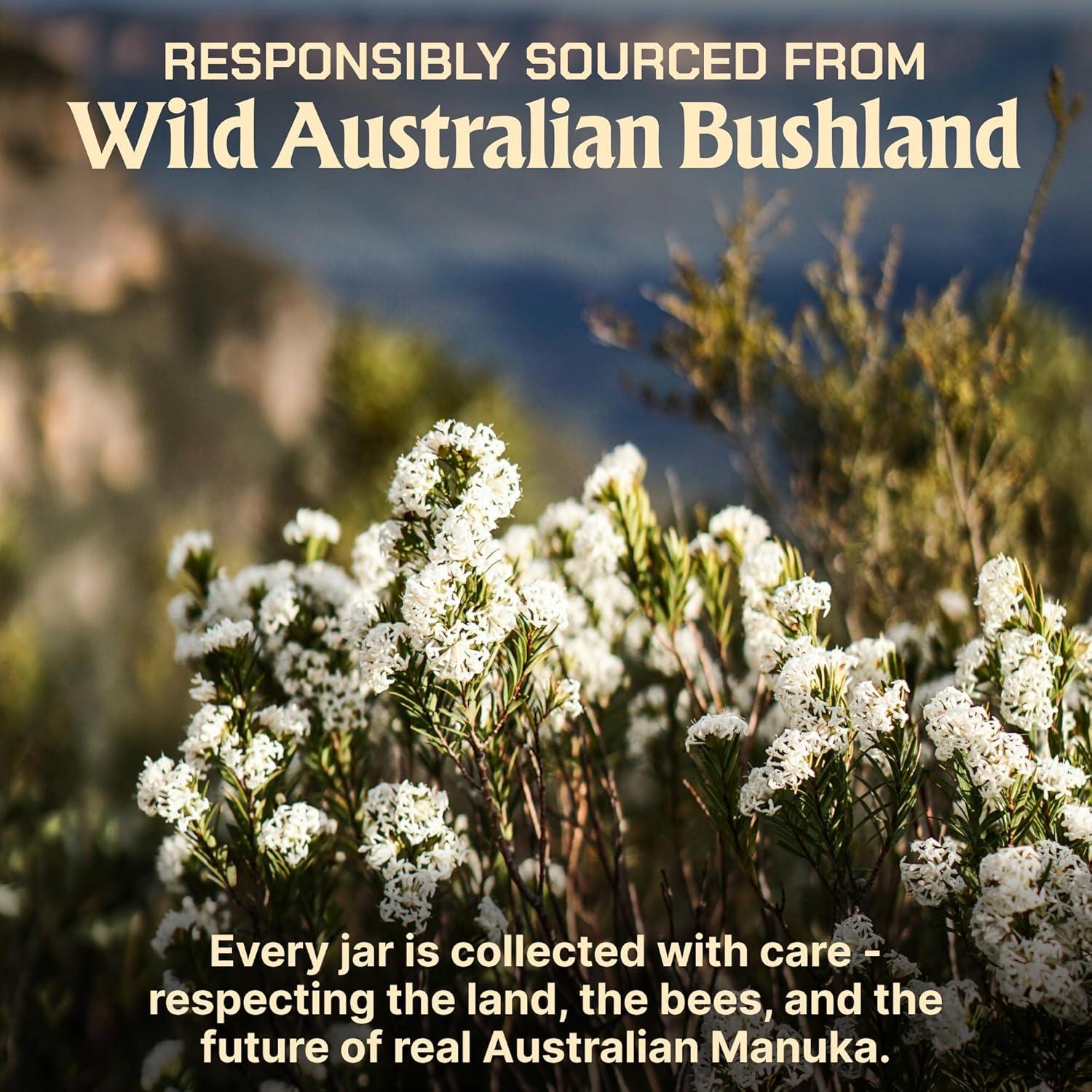 Miel de Manuka Caramanuka MGO 1495+ 248g Cruda y Pura