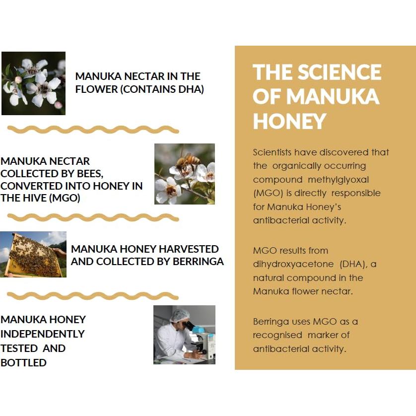Miel de Manuka Berringa 250g MGO 120+ Cruda y Sin Filtrar