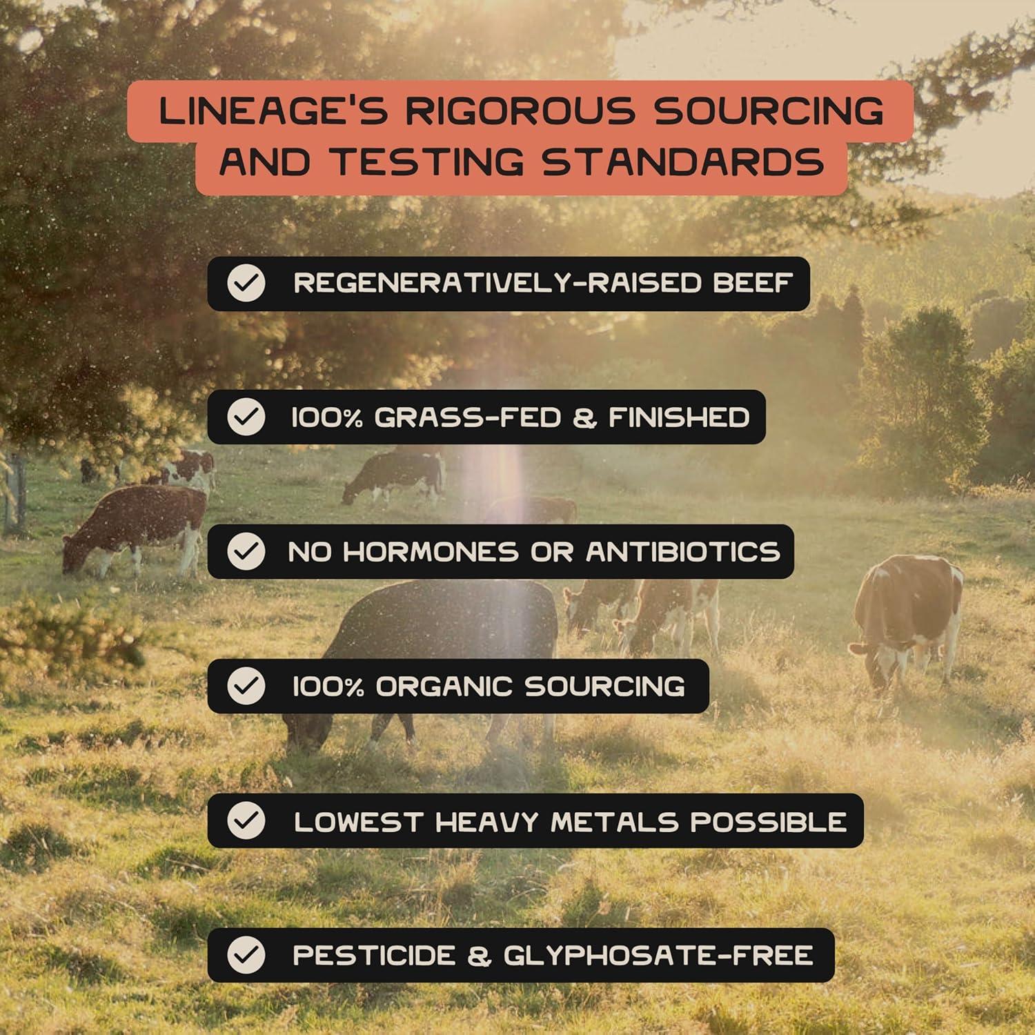 Miel Cruda Orgánica Lineage Provisions 3 Tarros 510g Sin Filtrar