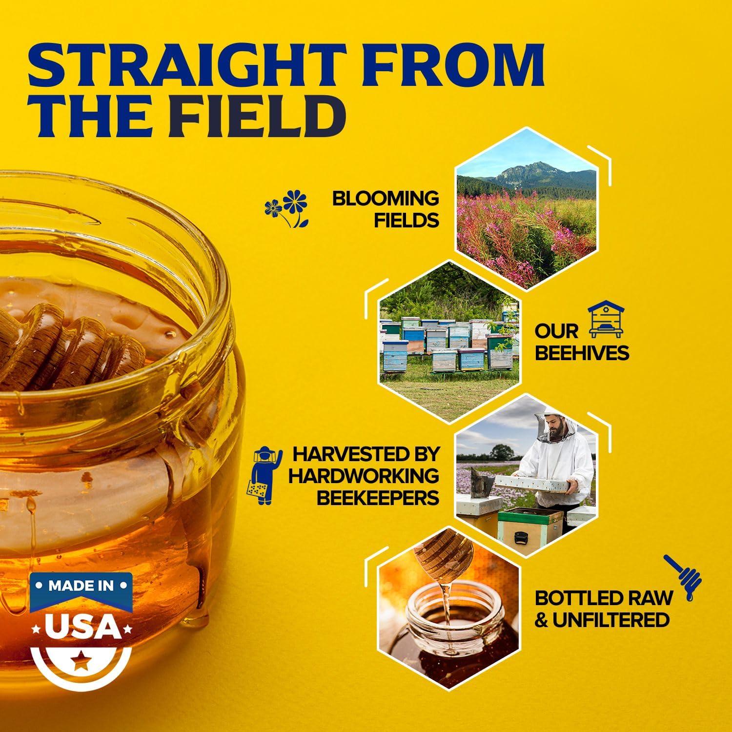 Miel Cruda 100% Pura Fischer 1134 g - Endulzante Natural