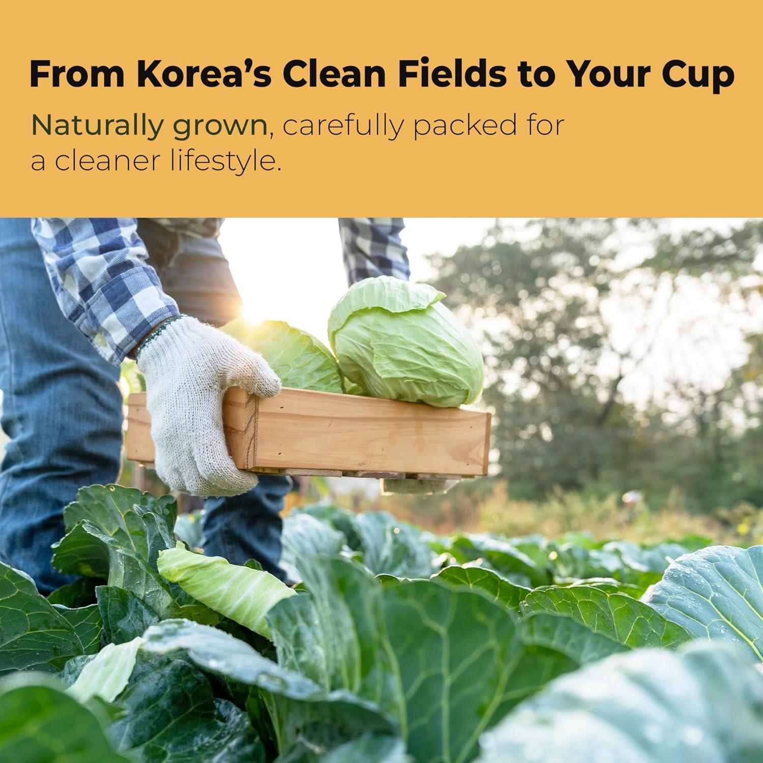 Jugo de Repollo Verde TerraPick con Miel de Manuka - 90 ml x 30 bolsas