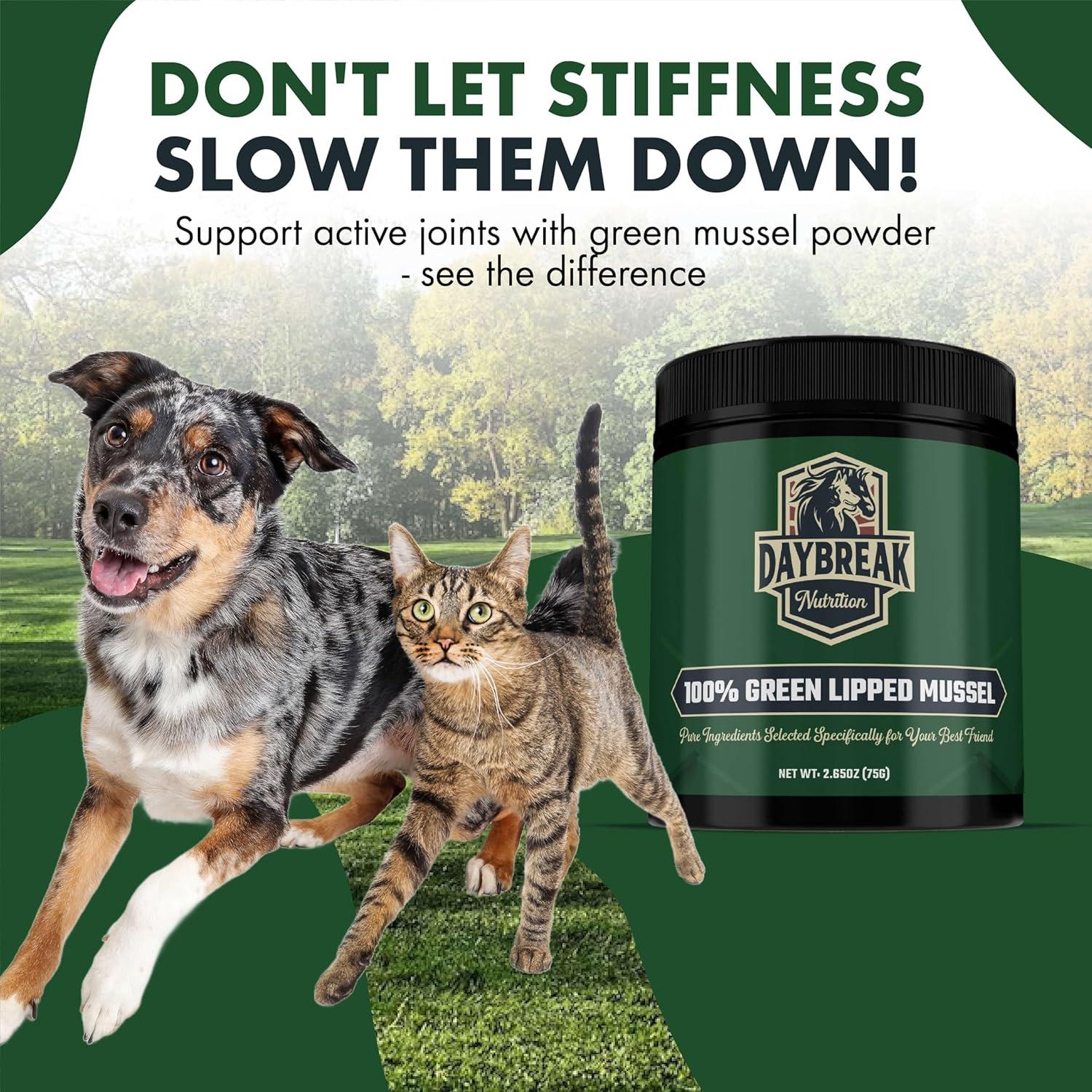 Polvo de Mejillón Verde Daybreak 75g - Suplemento Articular para Perros y Gatos