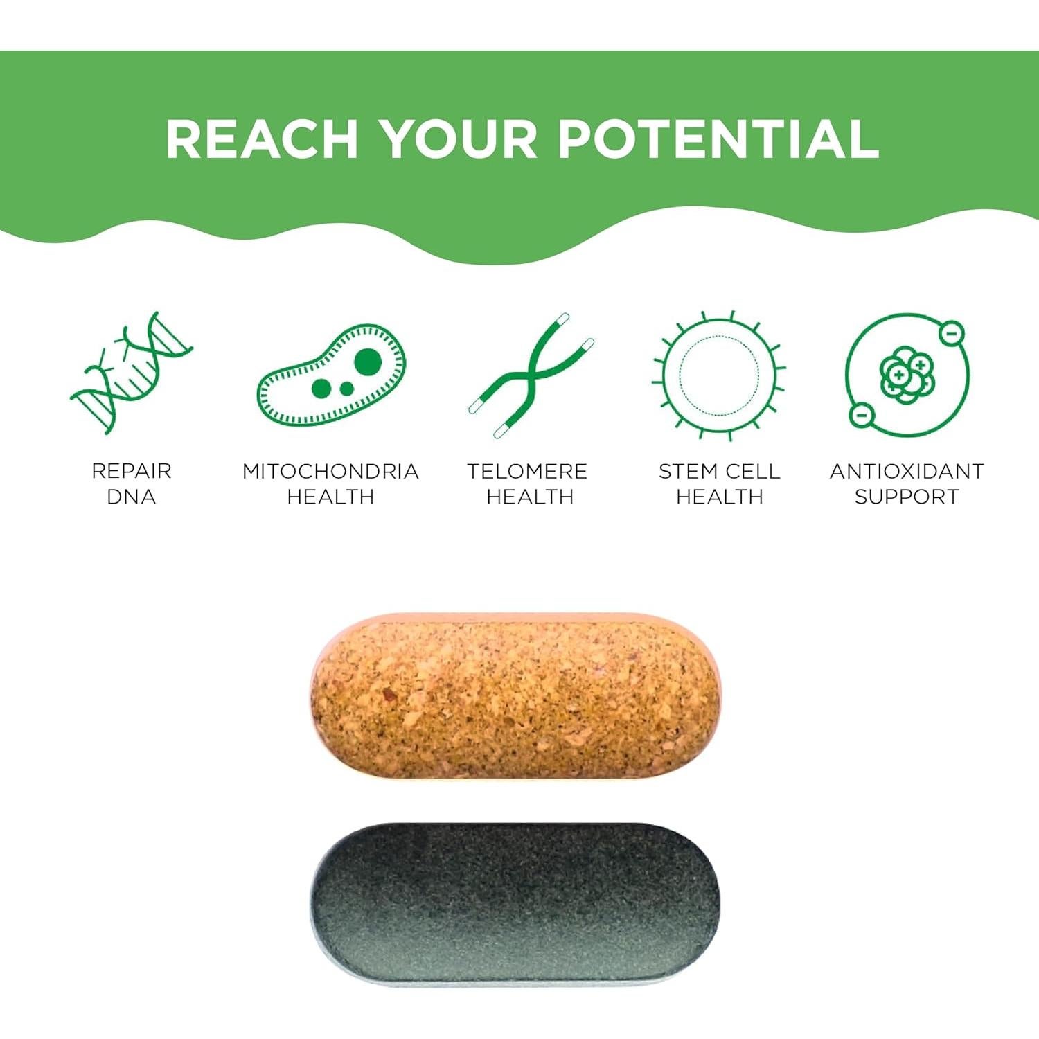 HealhtyCell AM/PM Healthspan System - 90+ Vitamins, Minerals, Protective Phytonutrients, Probiotics & Enzymes for Advanced Cellular Nutrition - 60 AM Tablets & 60 PM Tablets