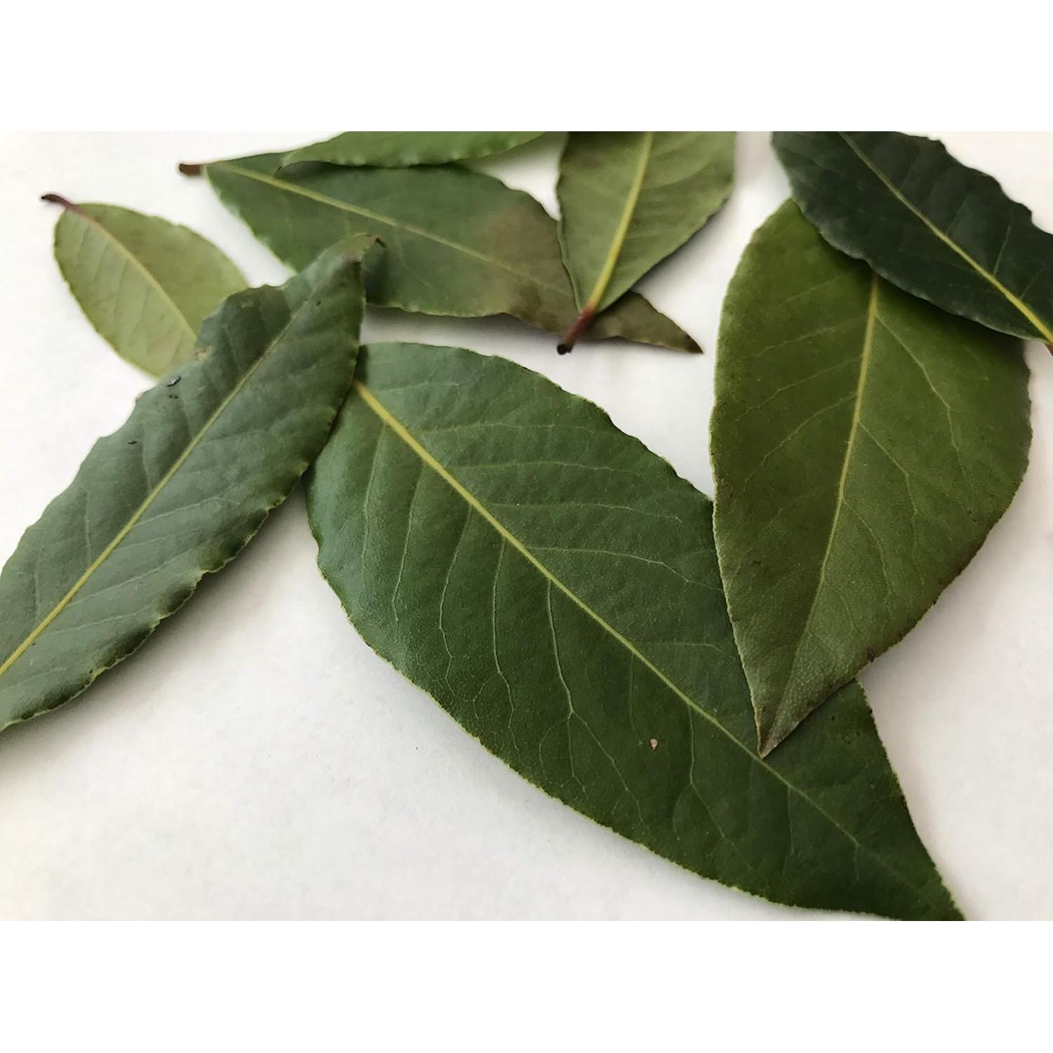 Baño Detox iON Performance 453.6 g | Zinc, Magnesio, Aceite de Coco