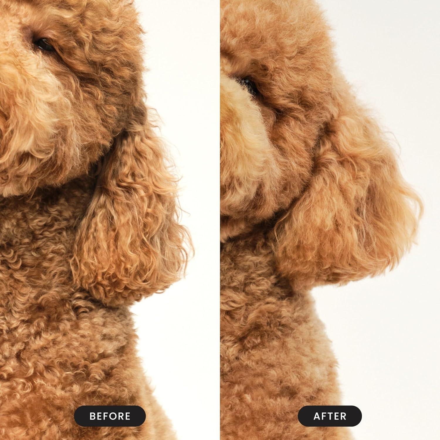 Cepillo Desenredante Pet Teezer Tangle Teezer Grande Rosa Amarillo