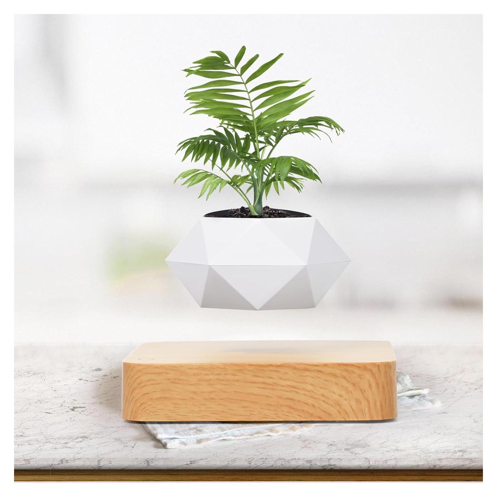 Maceta Flotante Levitante Leekimid para Suculentas Blanca