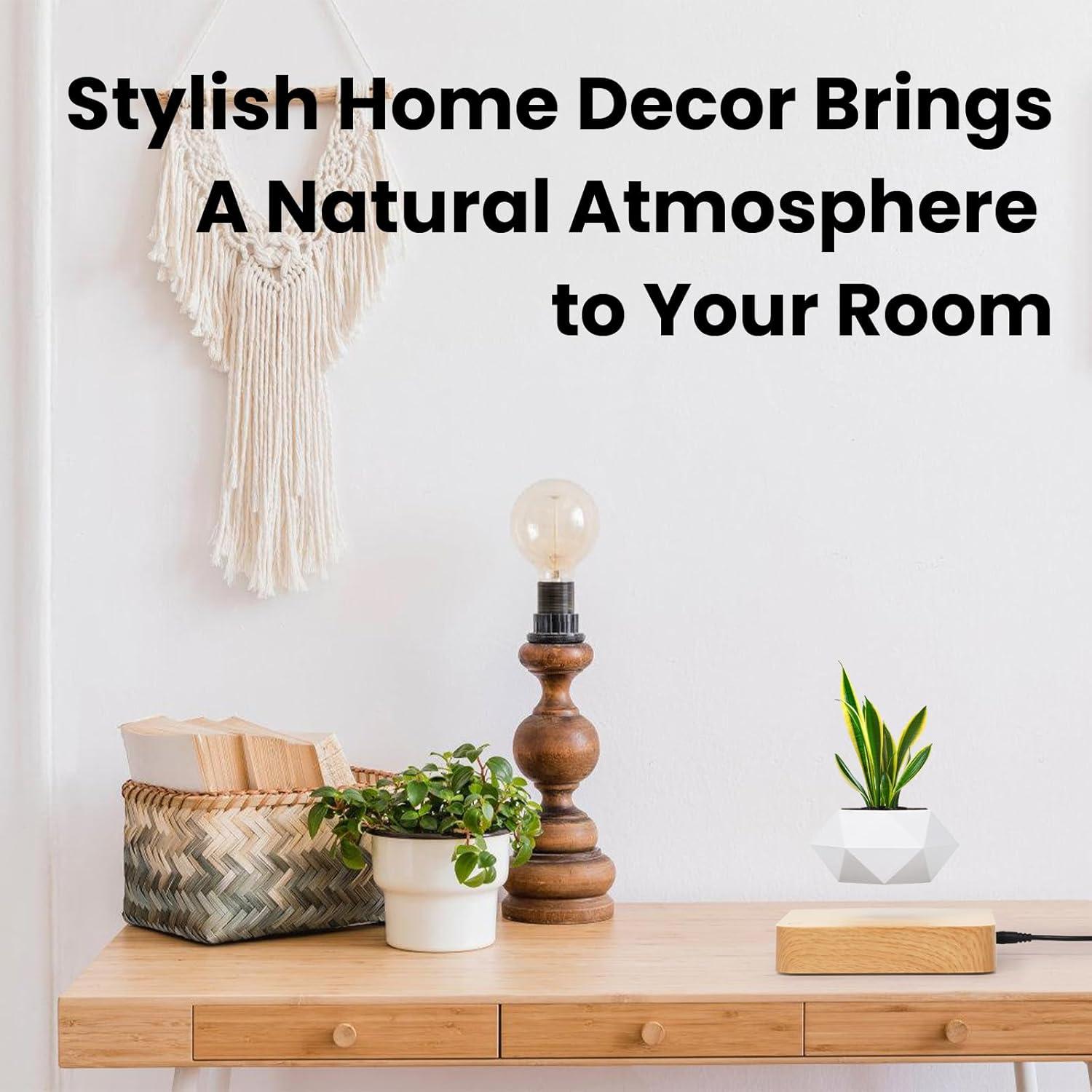 Maceta Flotante Levitante Leekimid para Suculentas Blanca