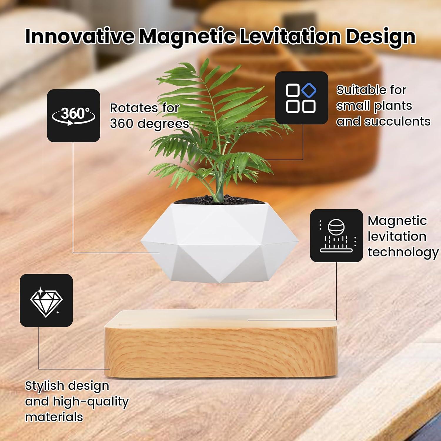 Maceta Flotante Levitante Leekimid para Suculentas Blanca