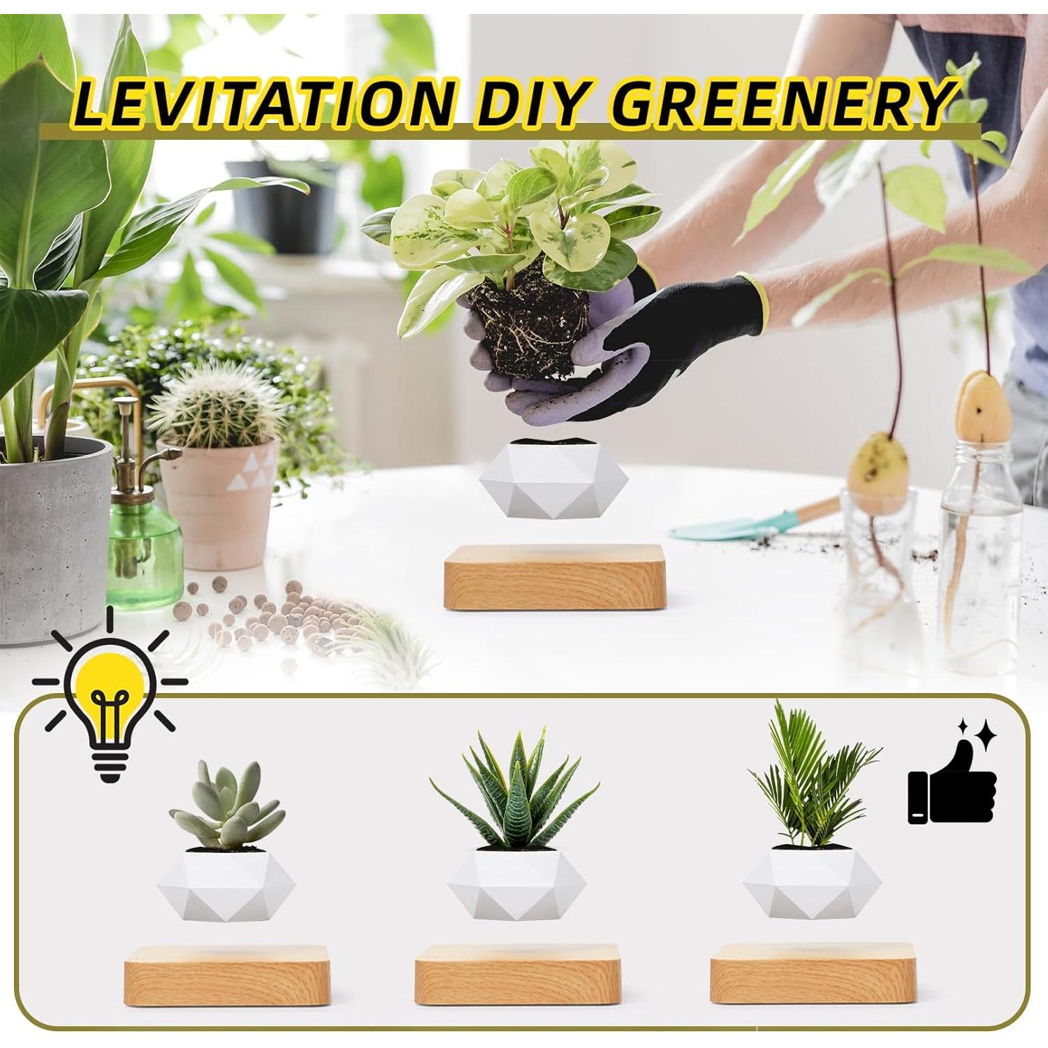 Maceta Flotante Levitante Leekimid para Suculentas Blanca