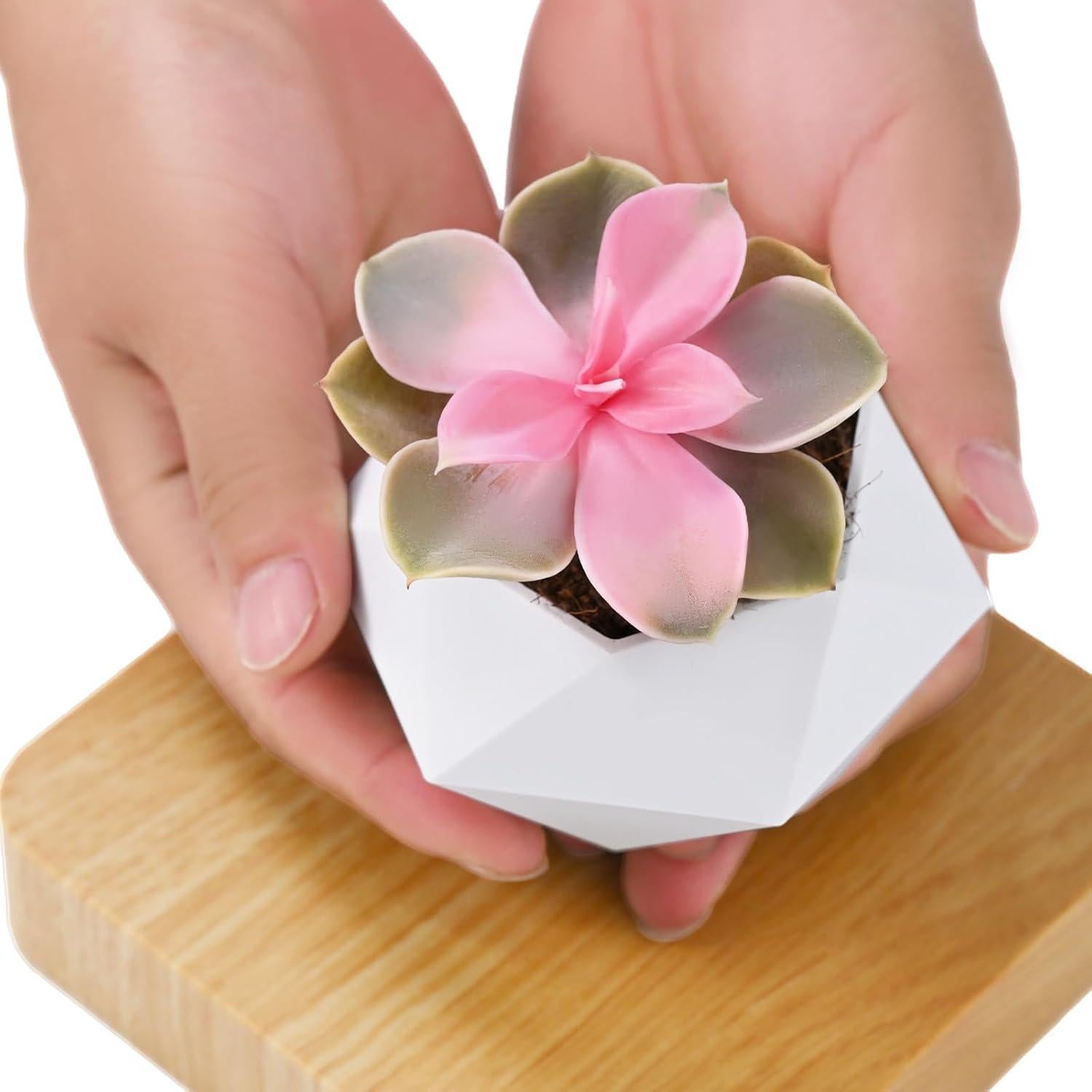 Maceta Flotante Levitante Leekimid para Suculentas Blanca